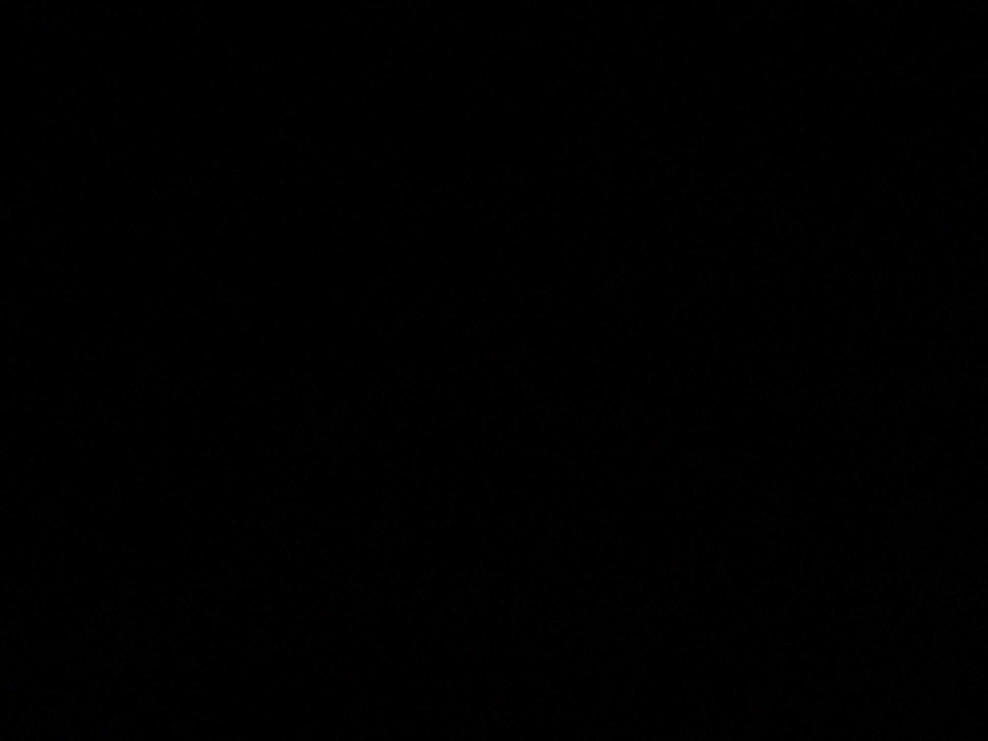 foto_2_1789162475
