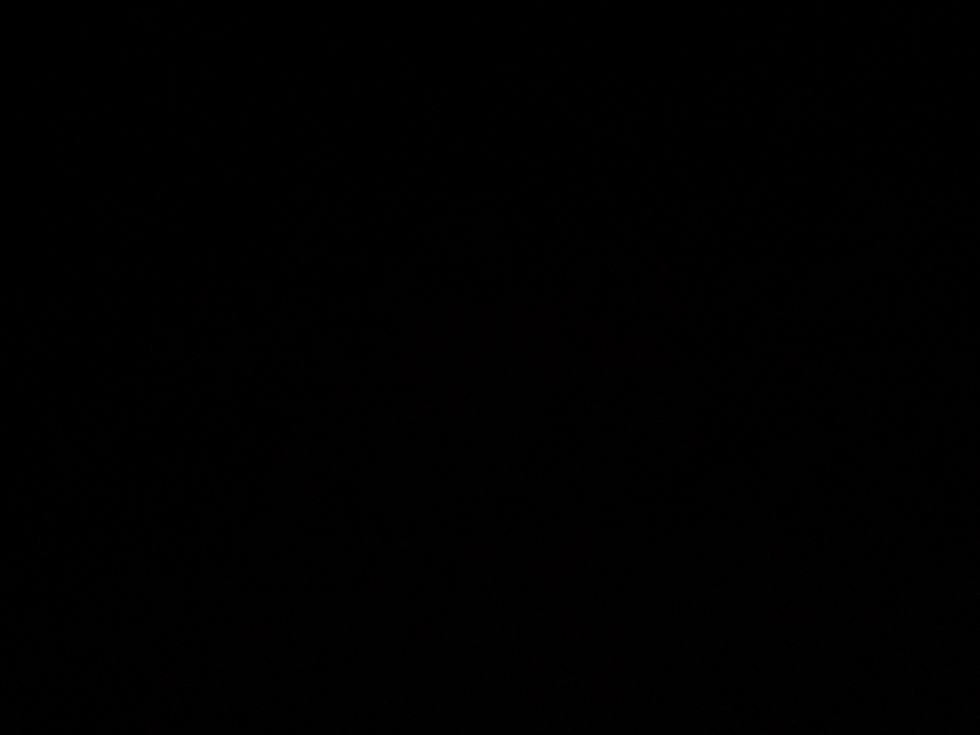 foto_2_1789162657