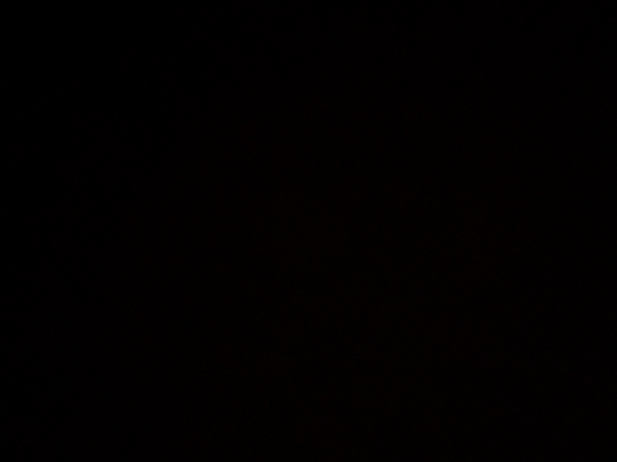 foto_2_1789163894