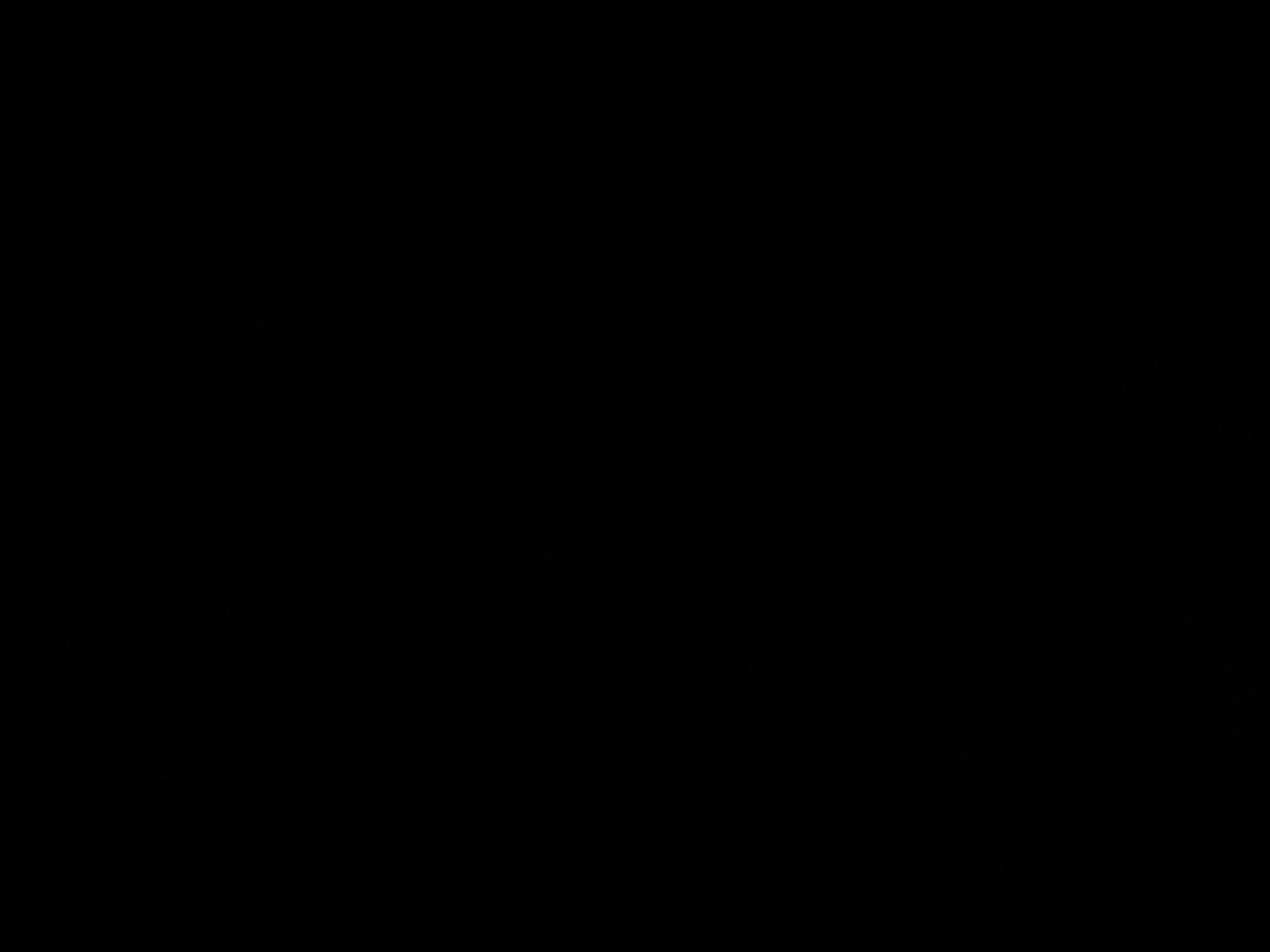 foto_3_1789162475