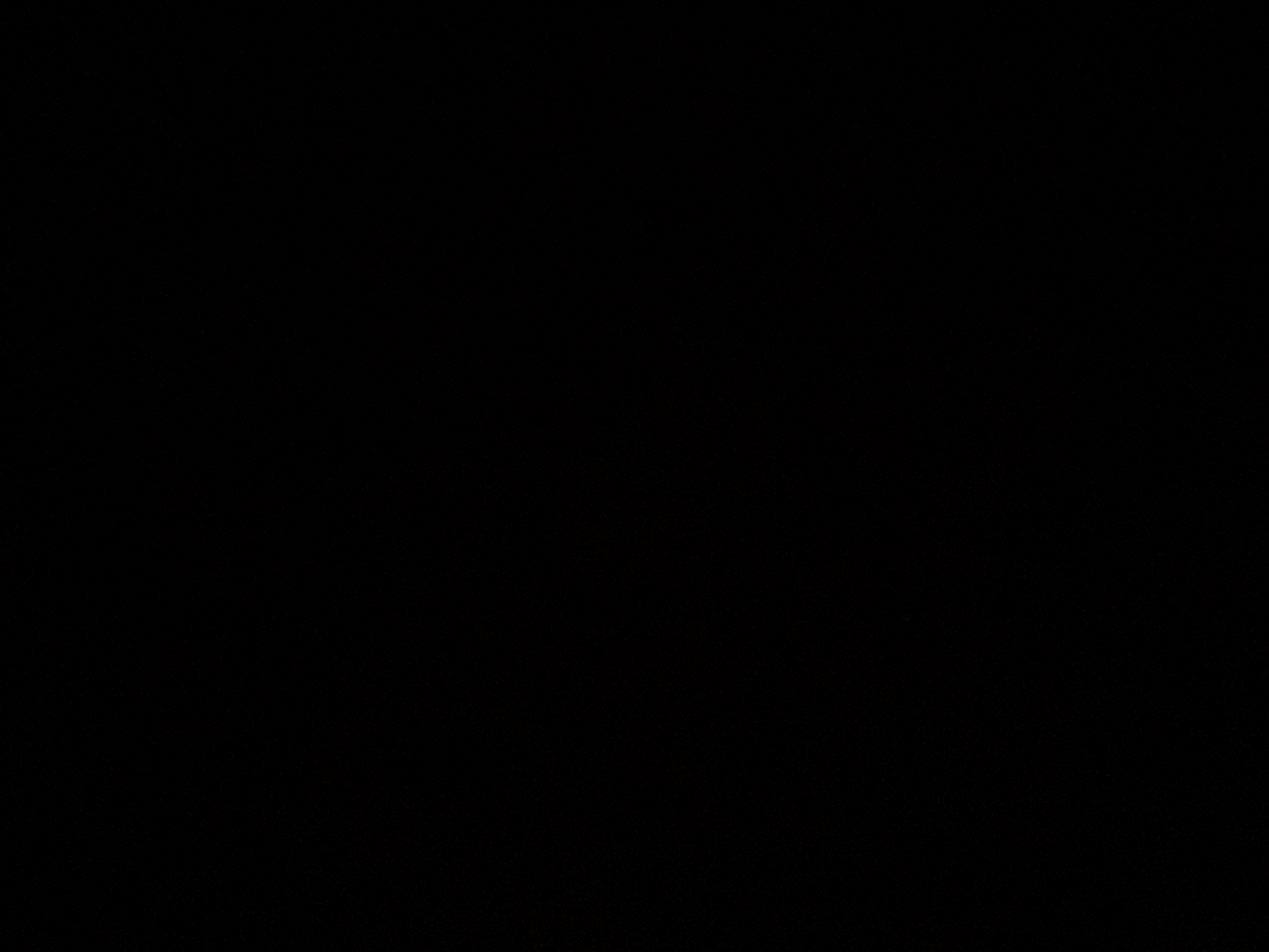 foto_3_1789162657