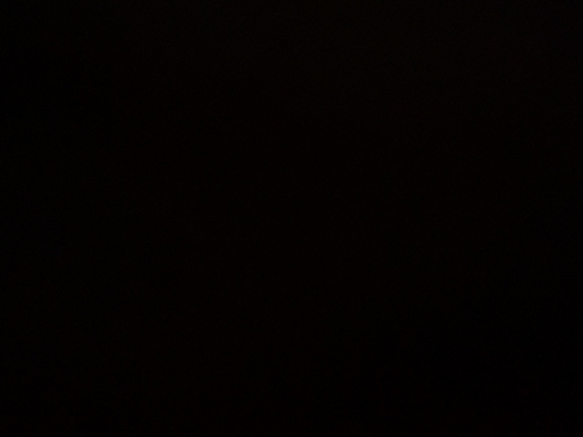 foto_0_1790018613