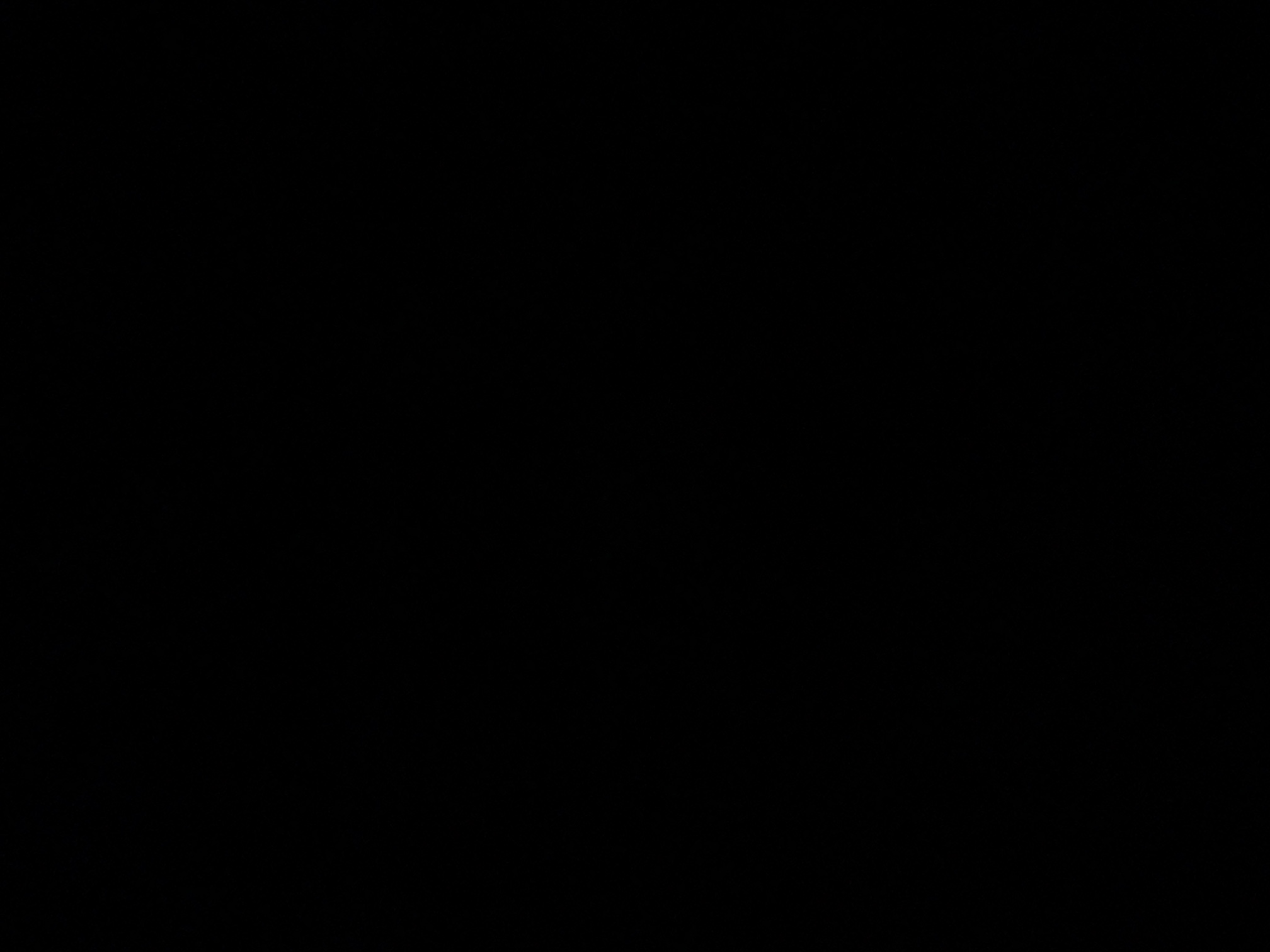foto_0_1790019153