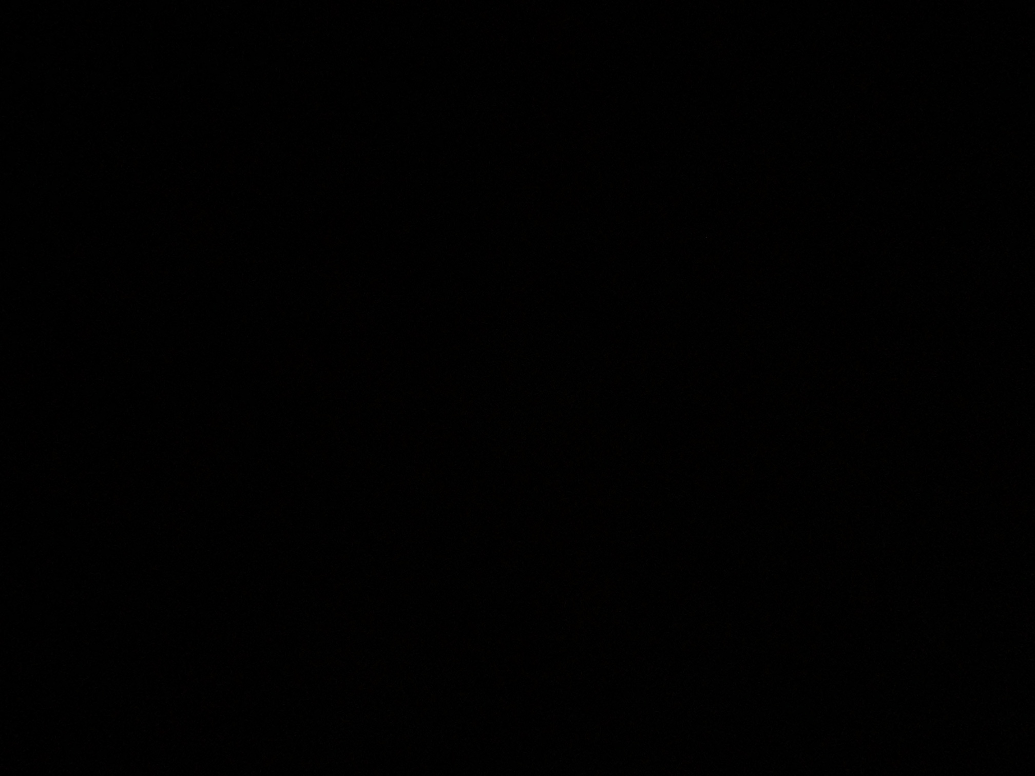 foto_0_1790319556