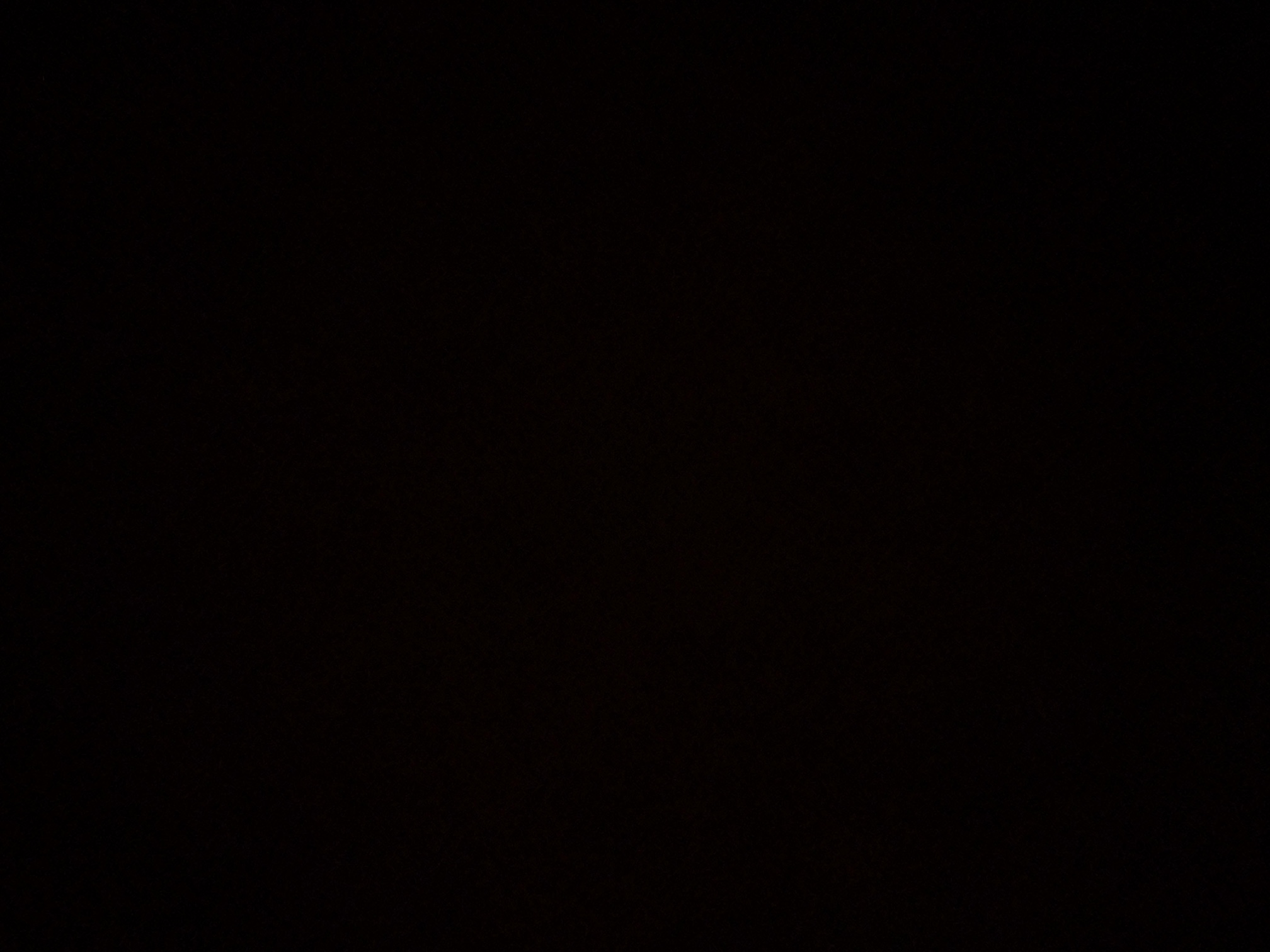 foto_0_1790361821