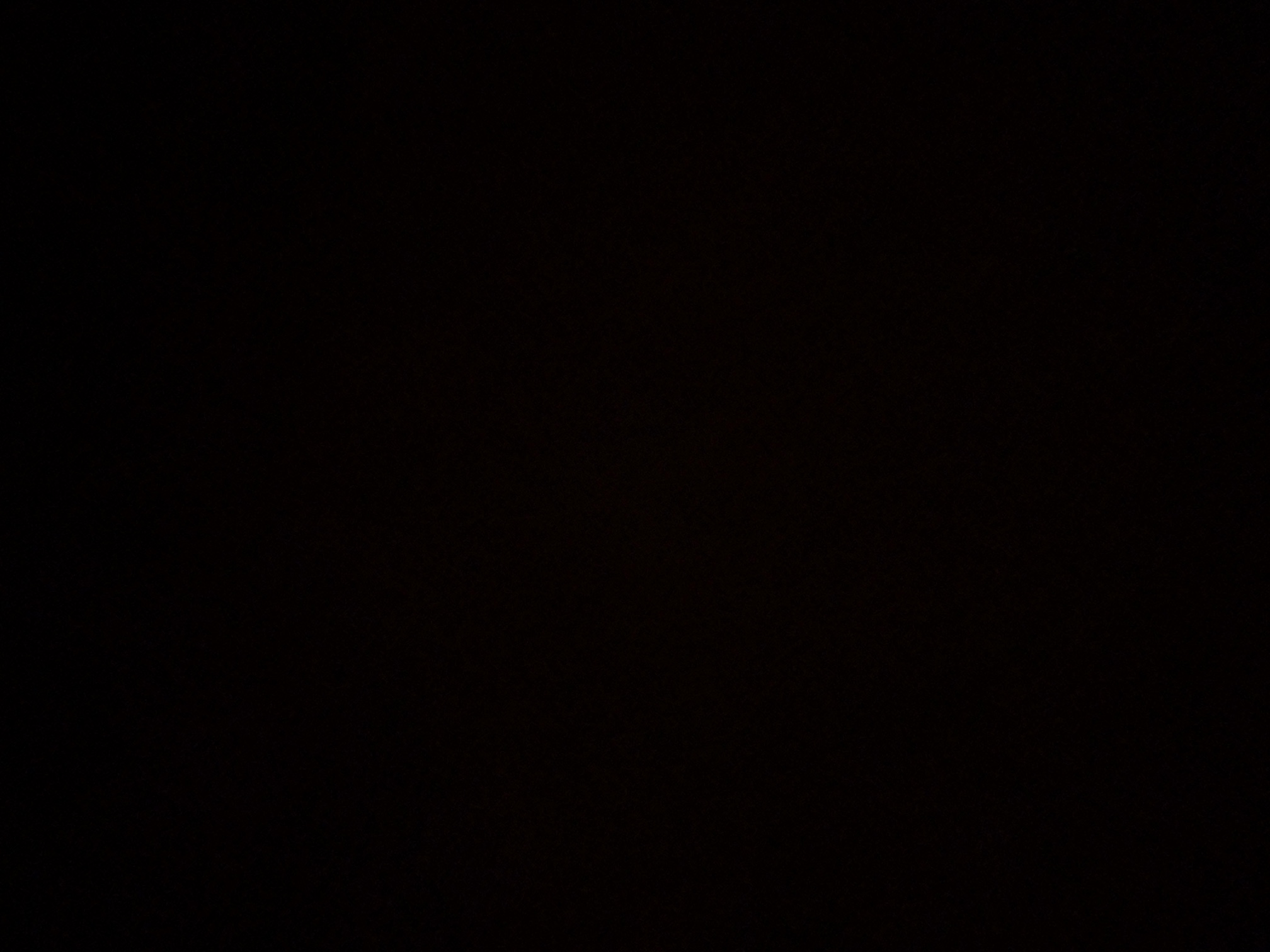 foto_0_1790362364