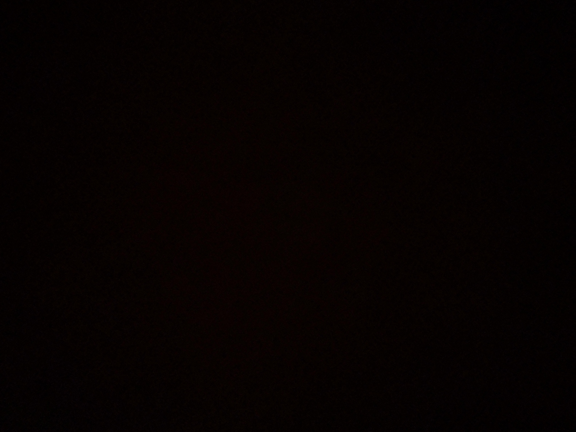 foto_0_1790363565