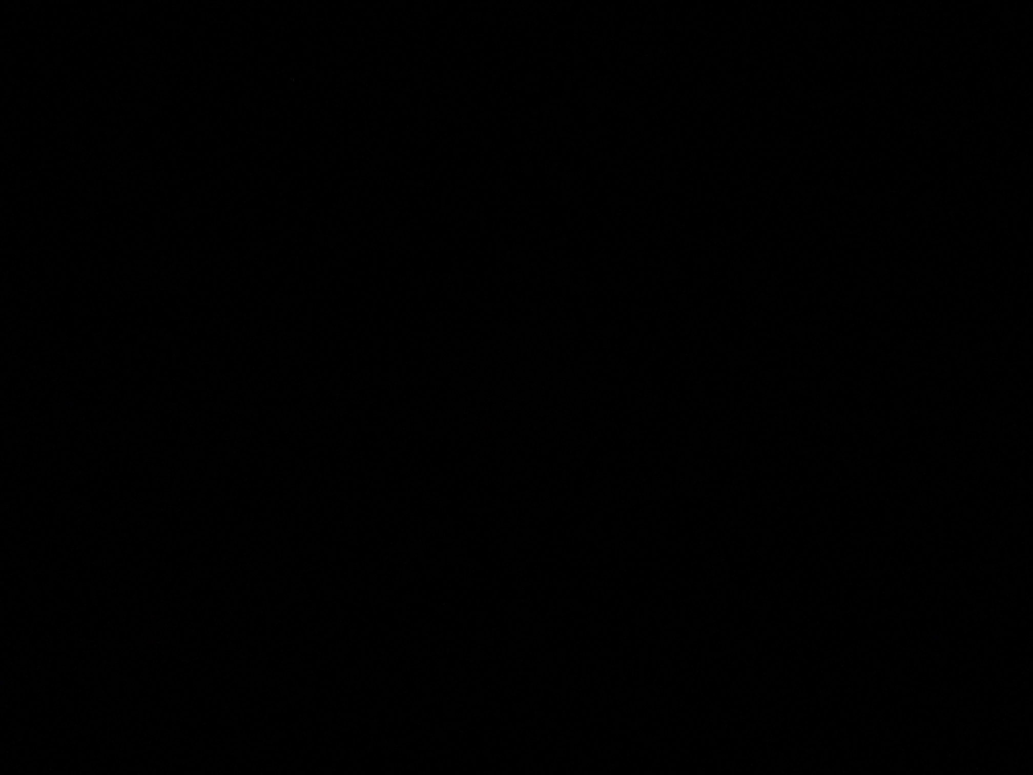 foto_0_1790380419