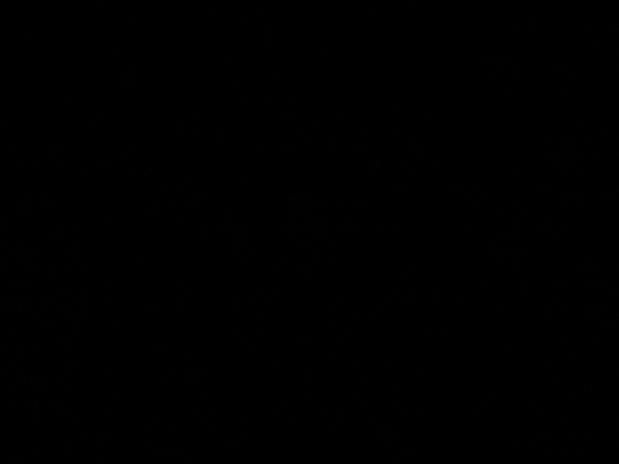 foto_0_1790382909