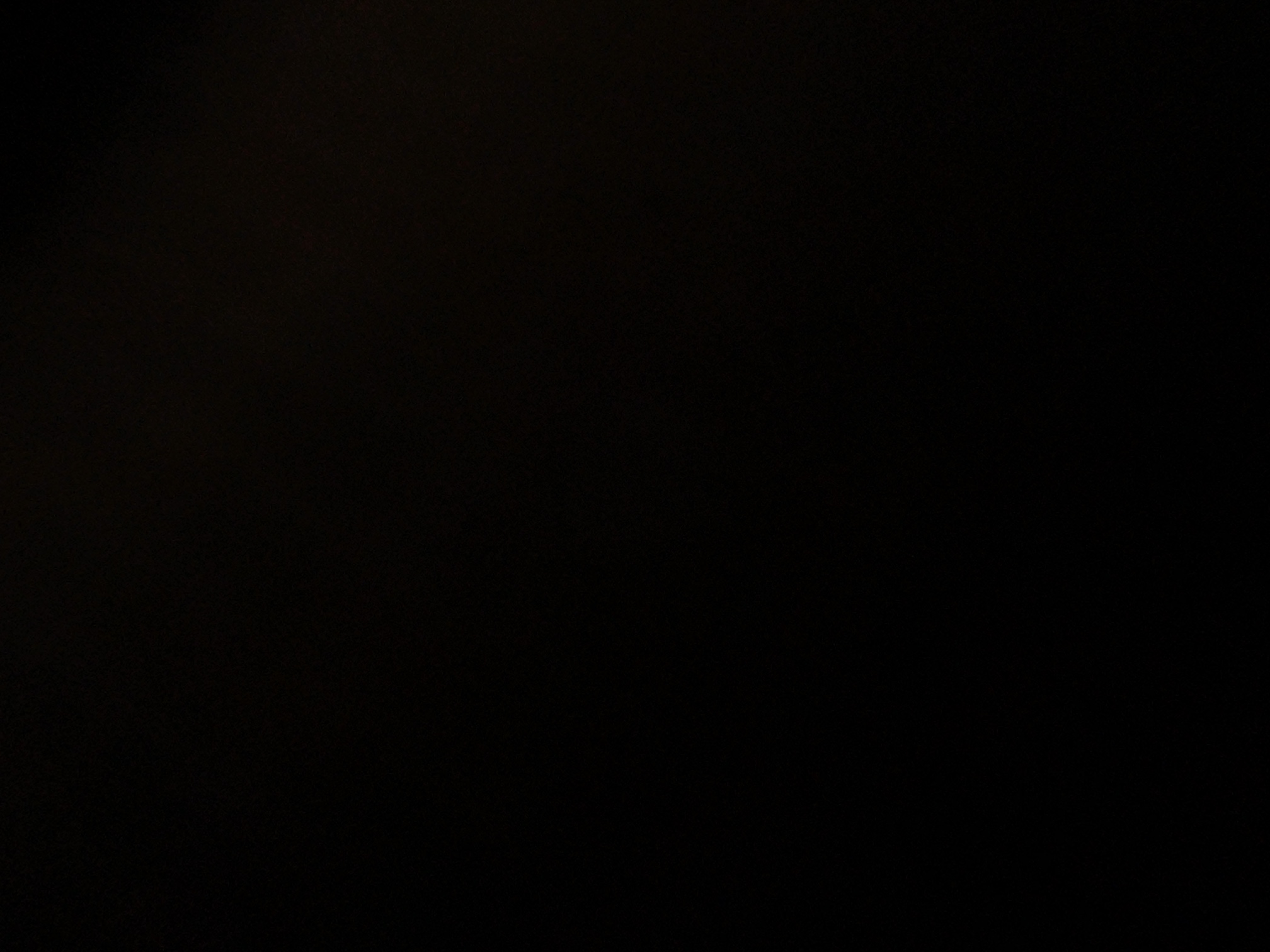 foto_0_1791185734
