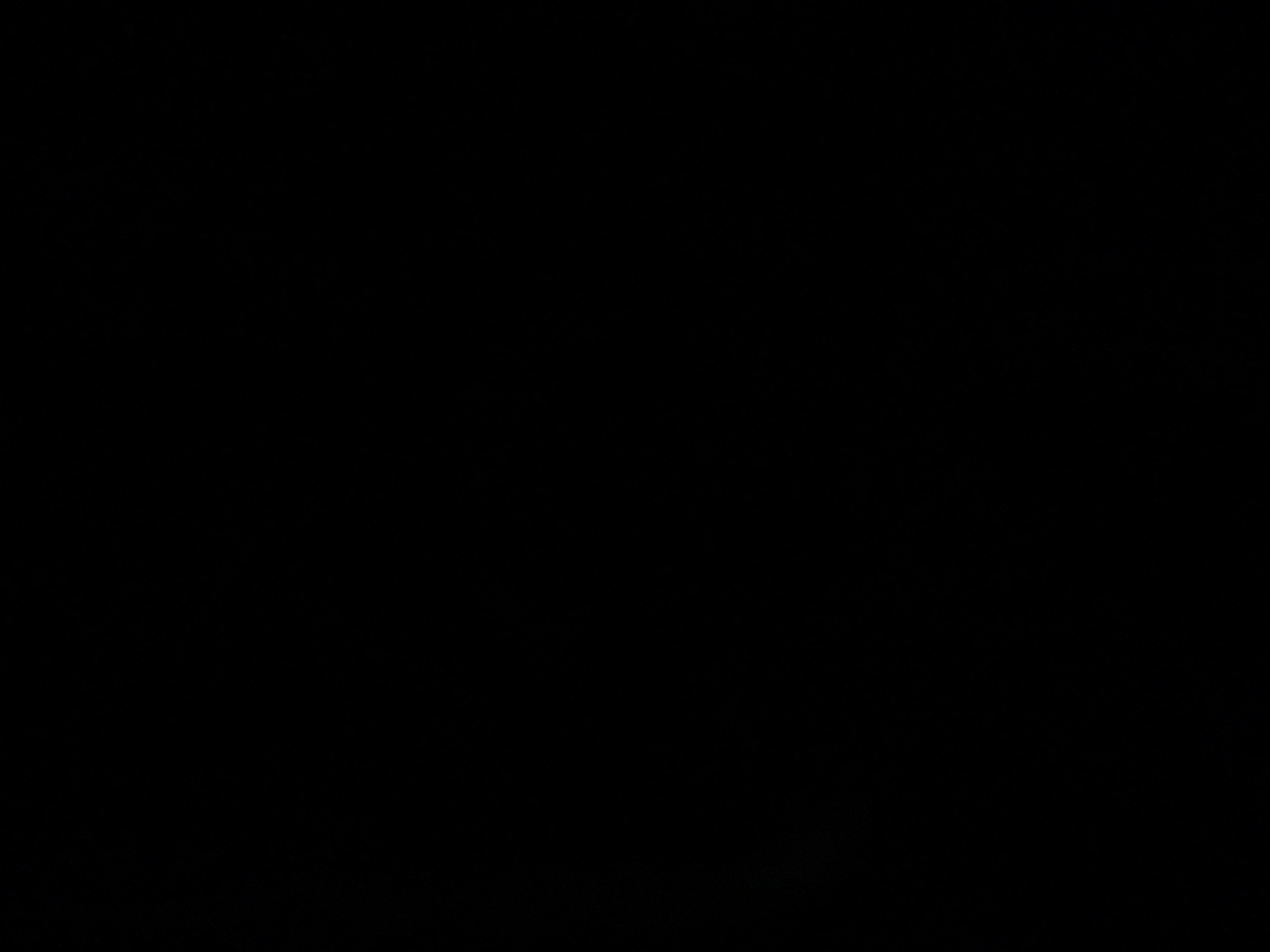 foto_0_1791237651