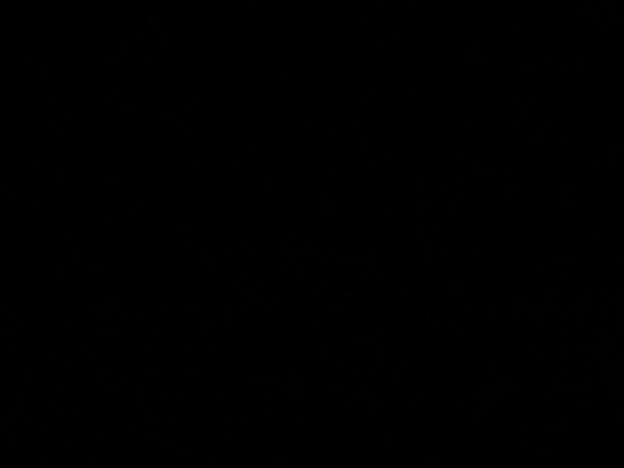 foto_1_1790023036