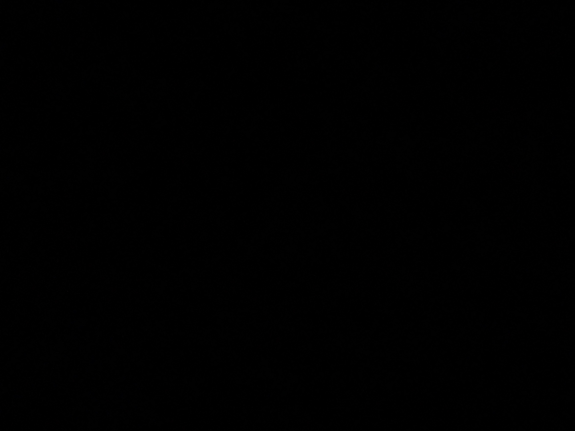 foto_1_1790044540