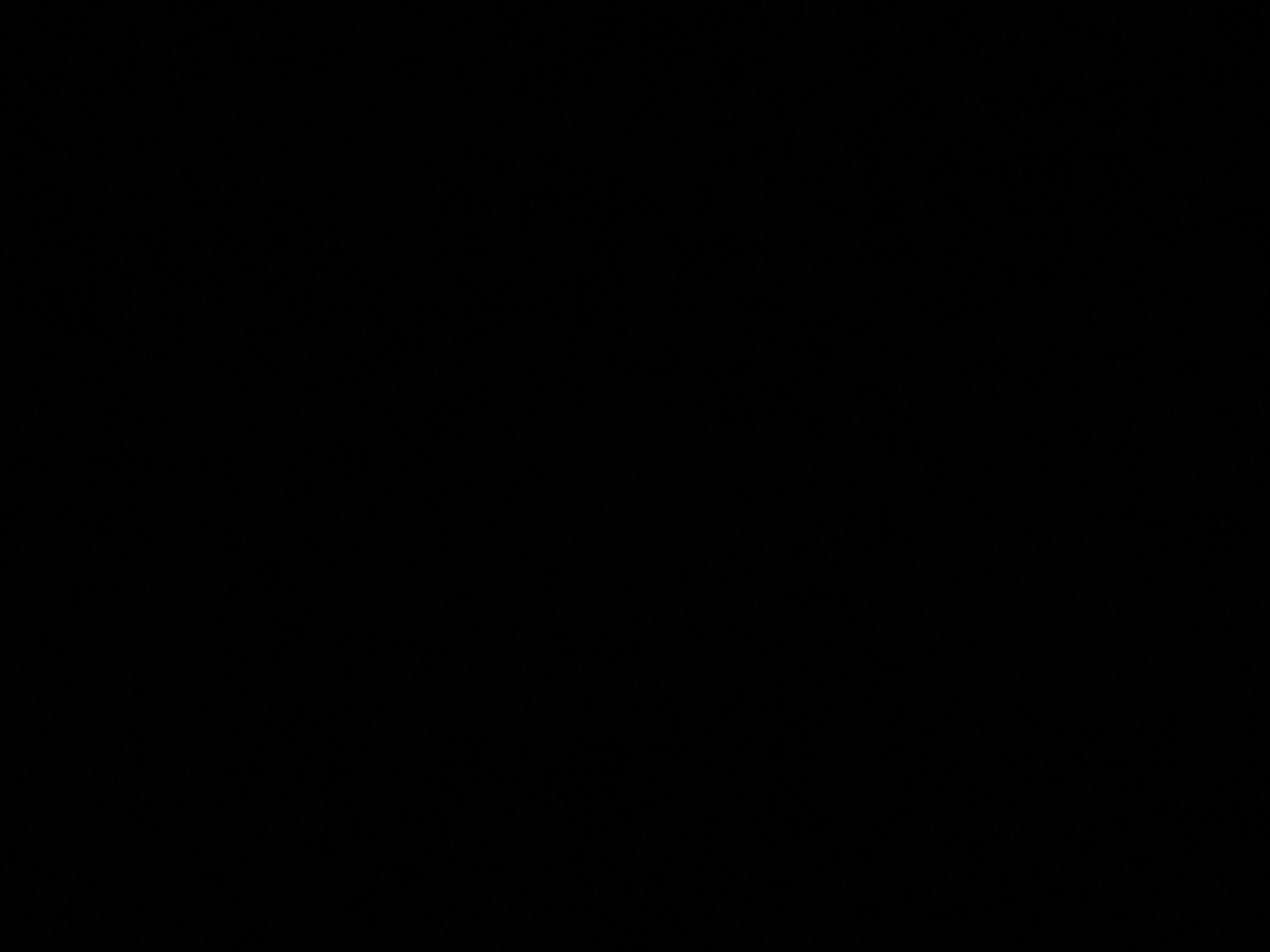 foto_1_1790045571
