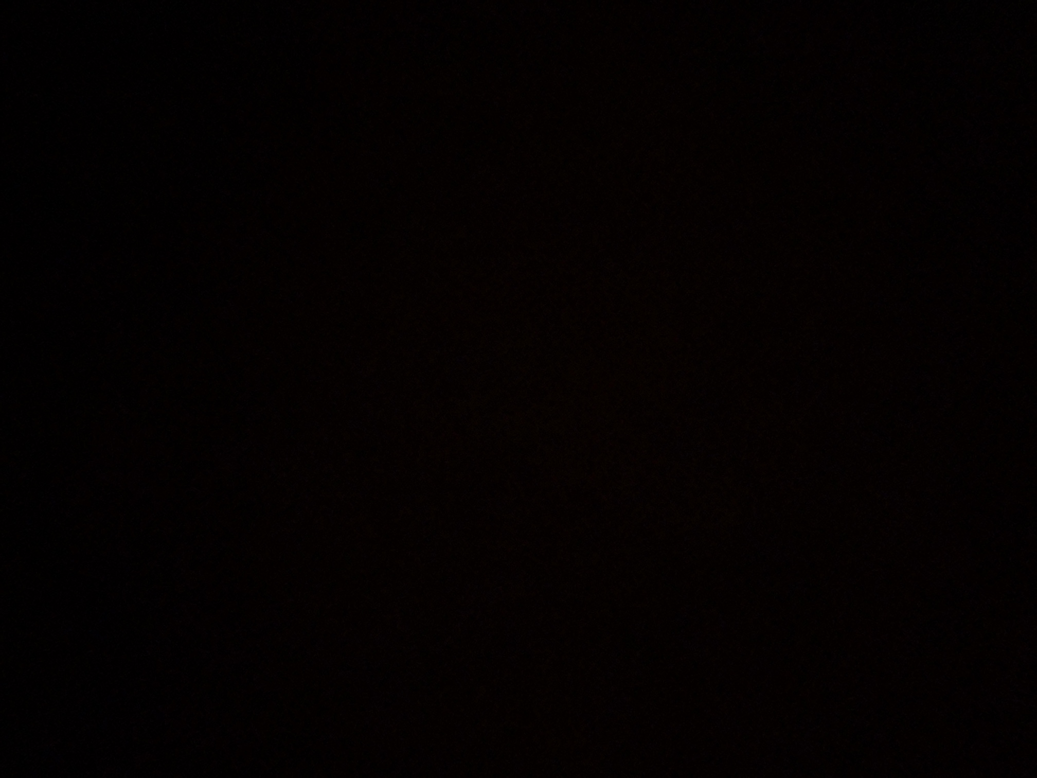 foto_1_1790362364