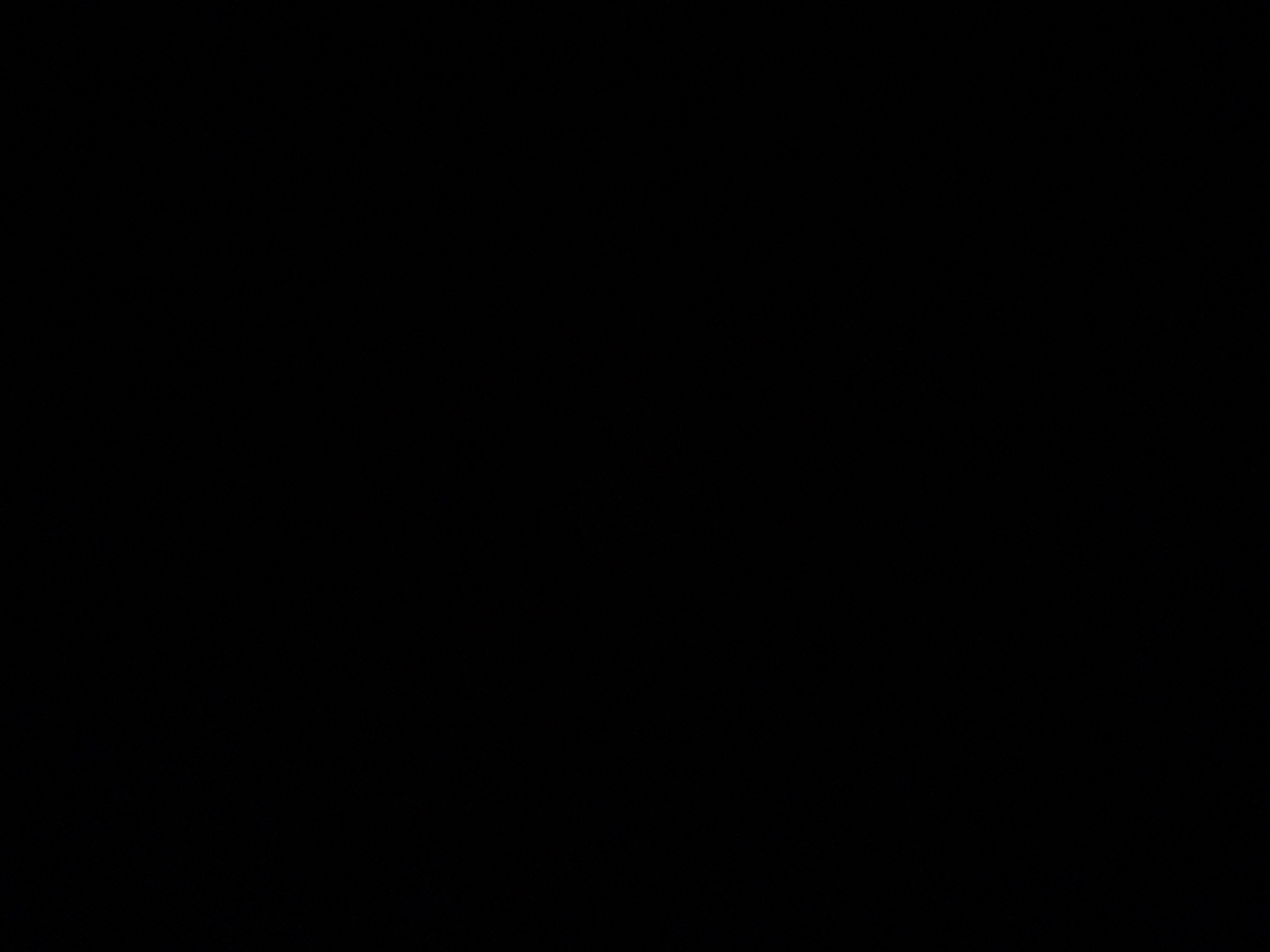 foto_1_1790363040