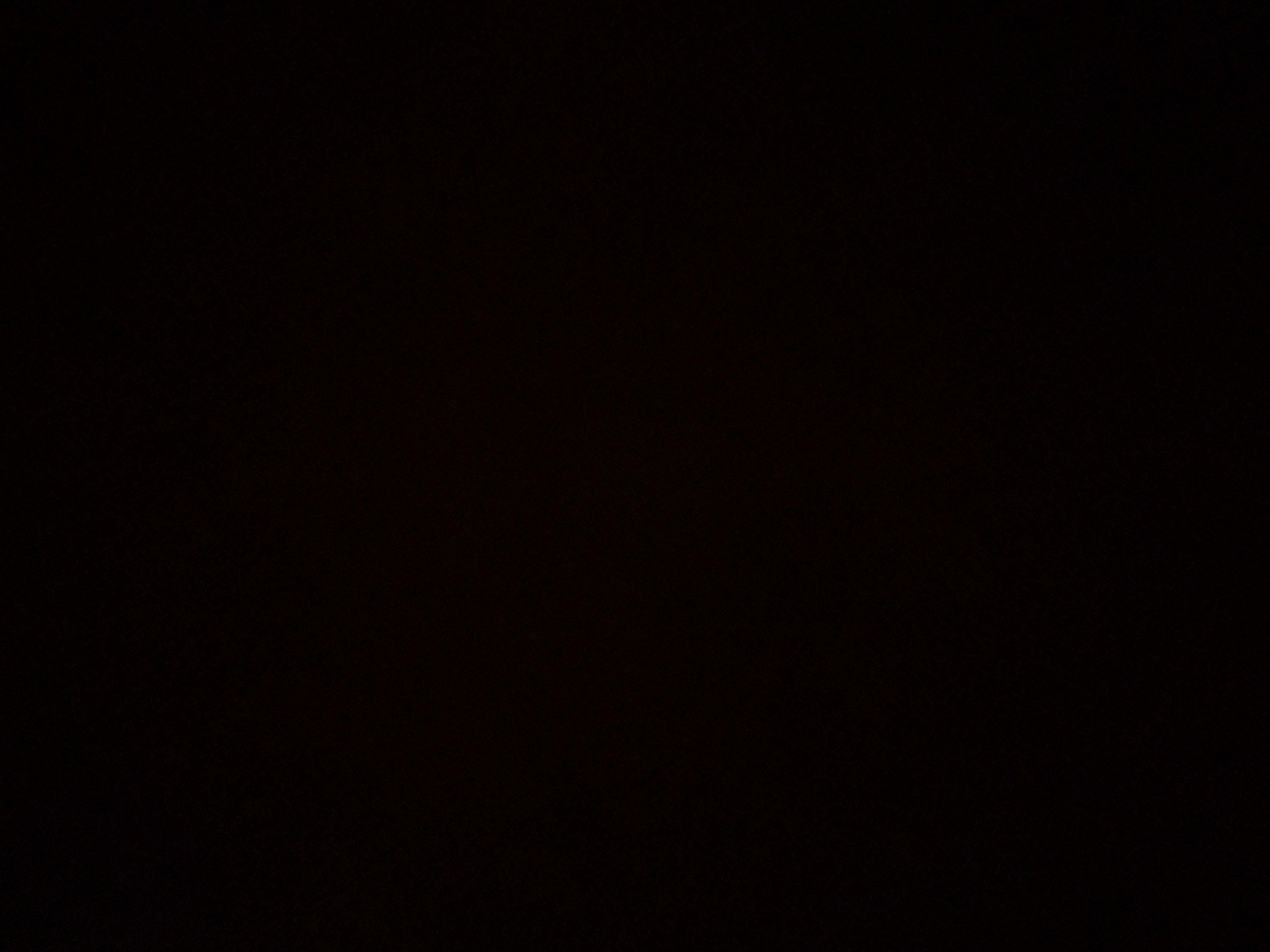 foto_1_1790363565
