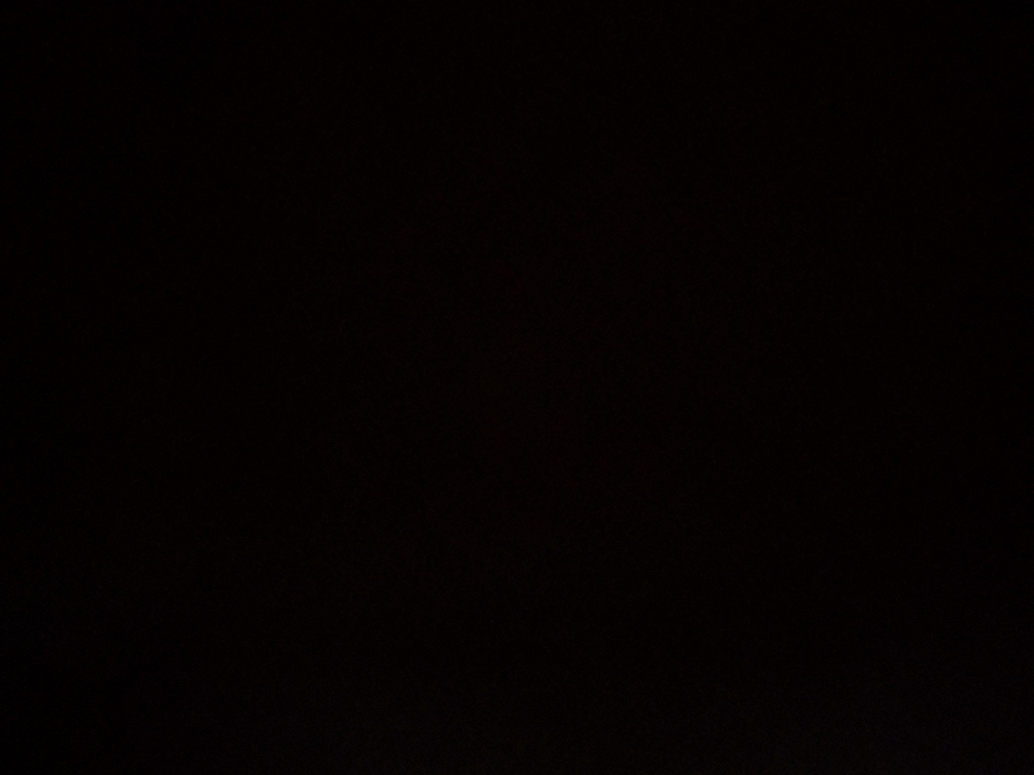 foto_1_1790364180