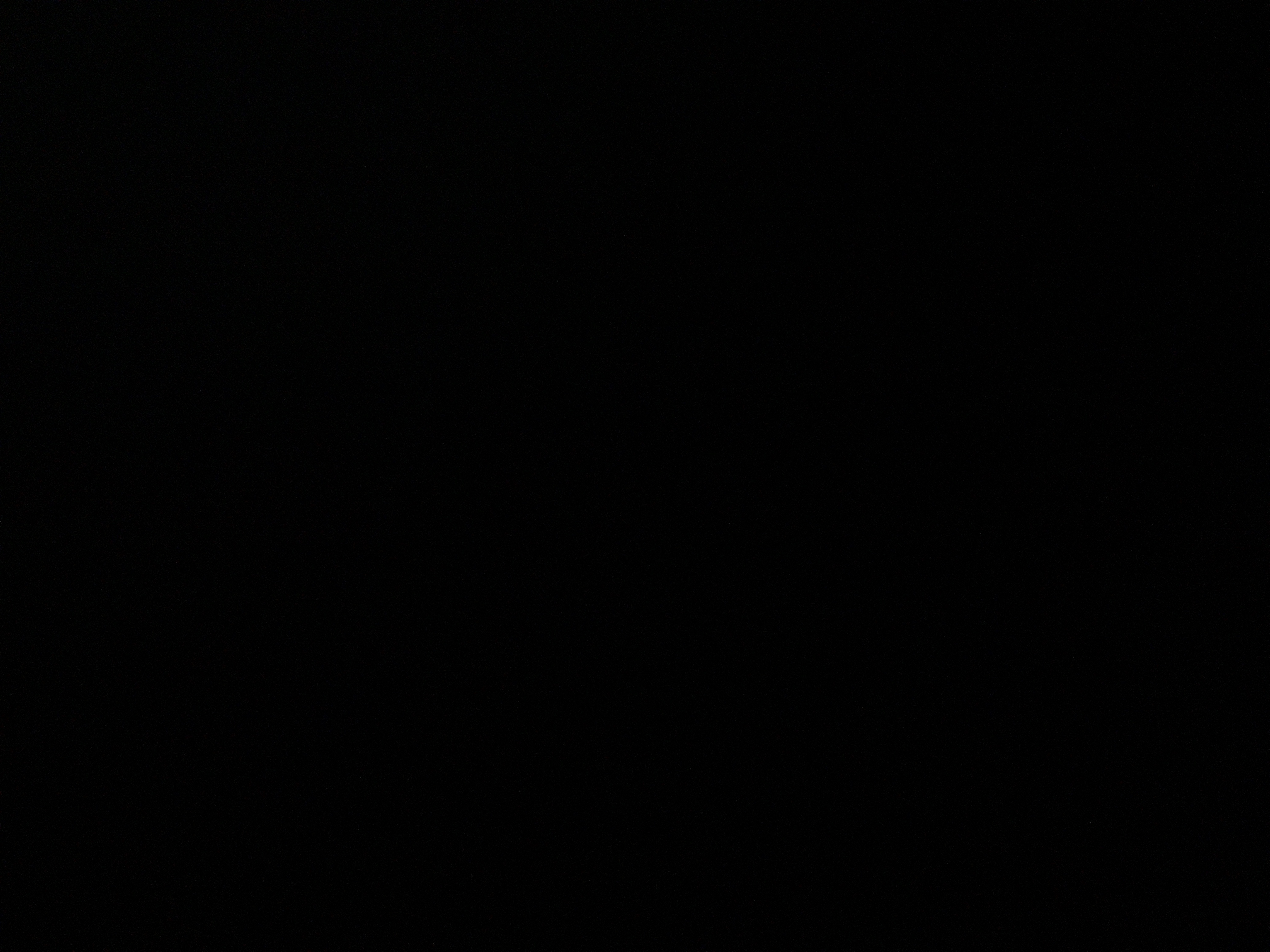 foto_1_1790371360