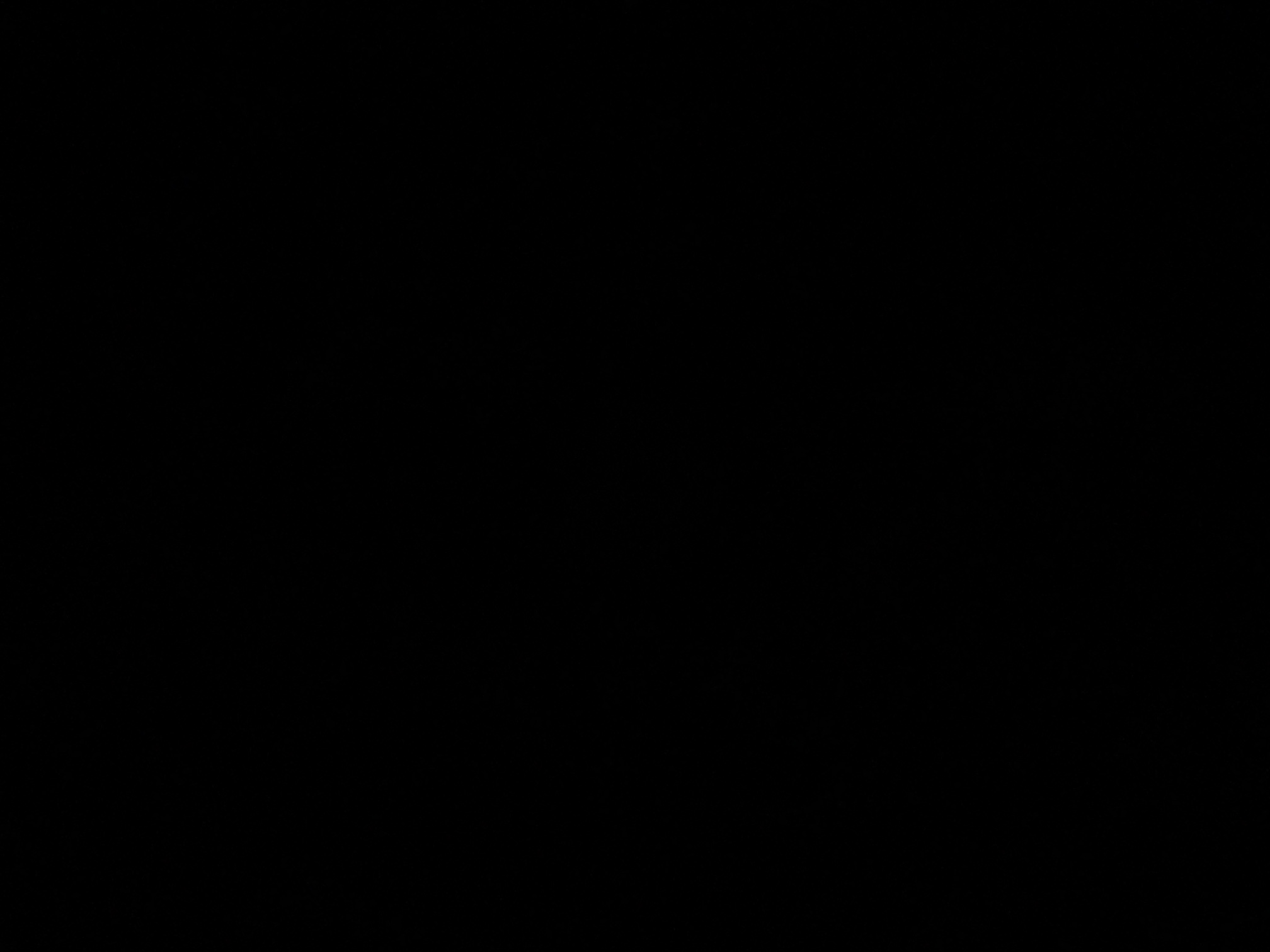 foto_1_1790371690