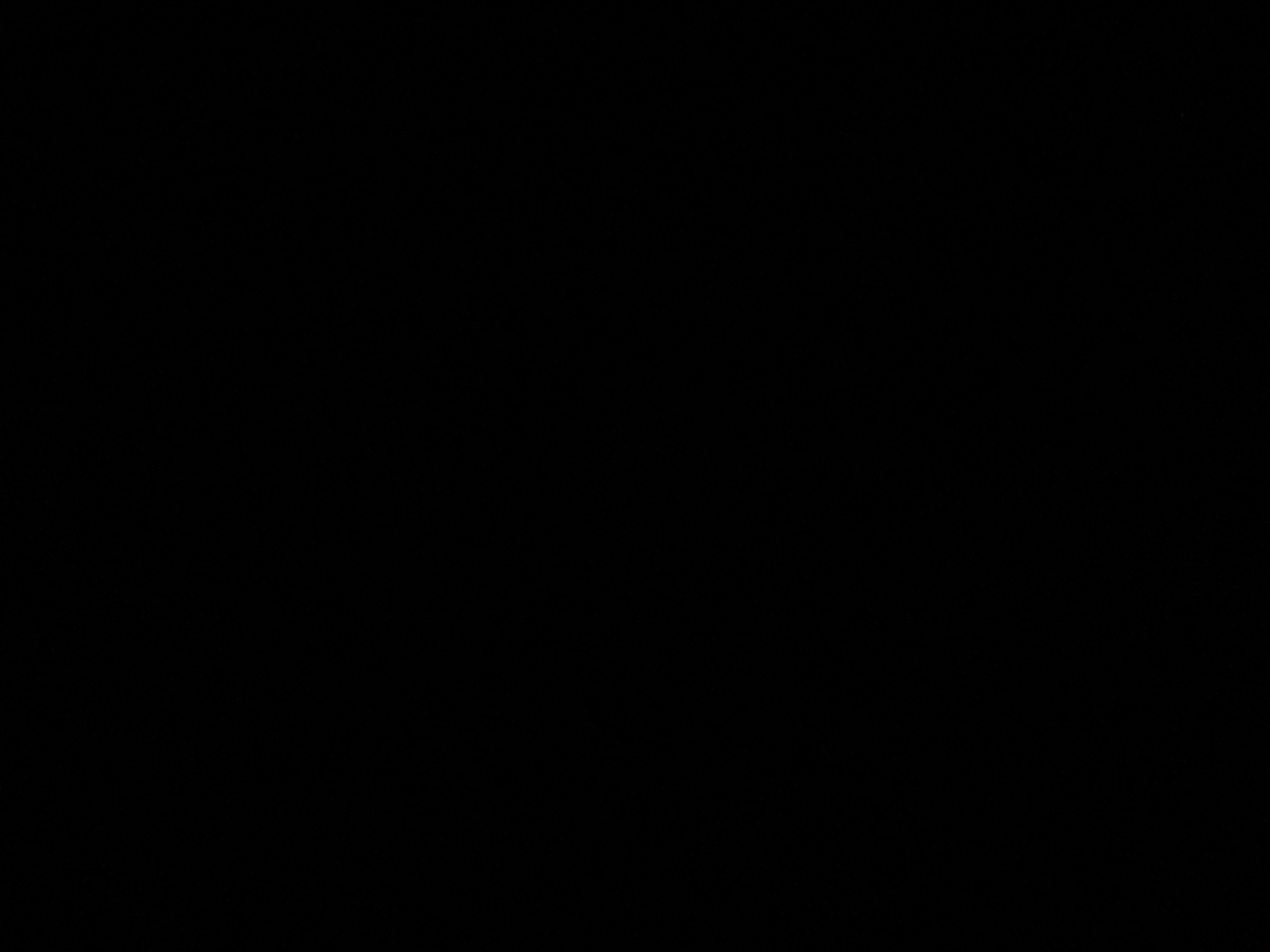 foto_1_1790381542