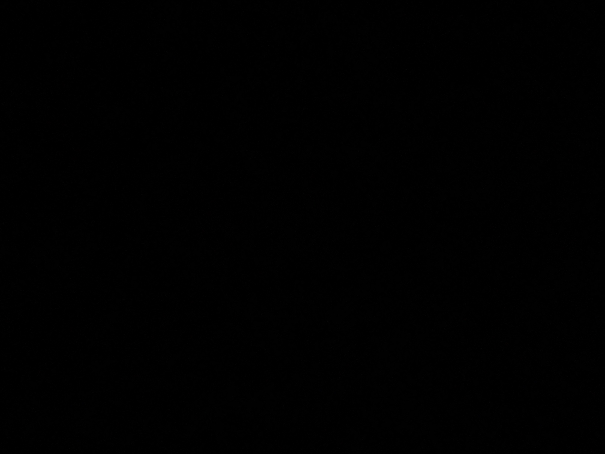foto_1_1790381842