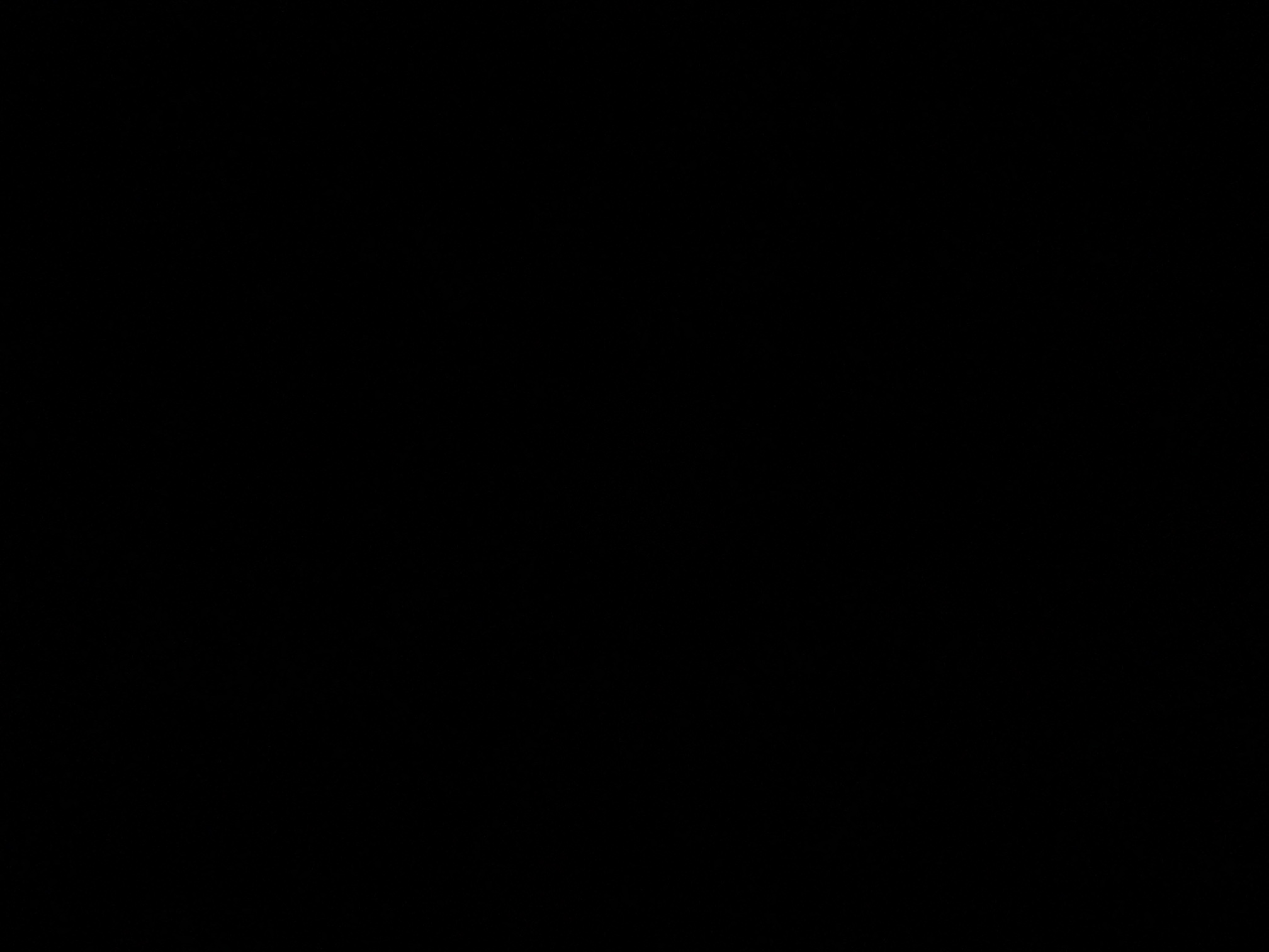 foto_1_1790382909
