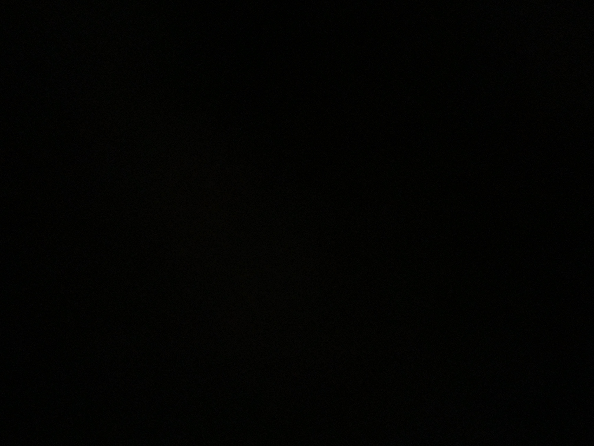 foto_1_1791079538