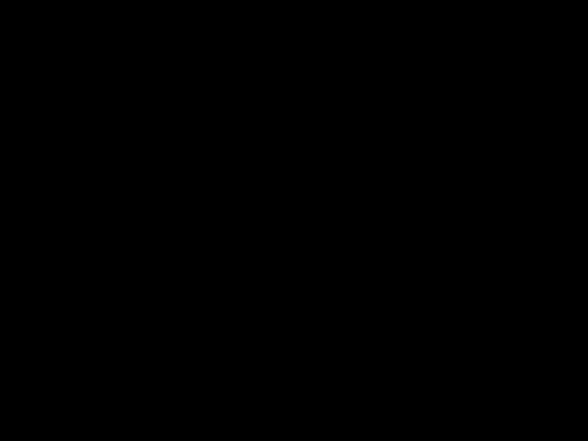 foto_1_1791082844