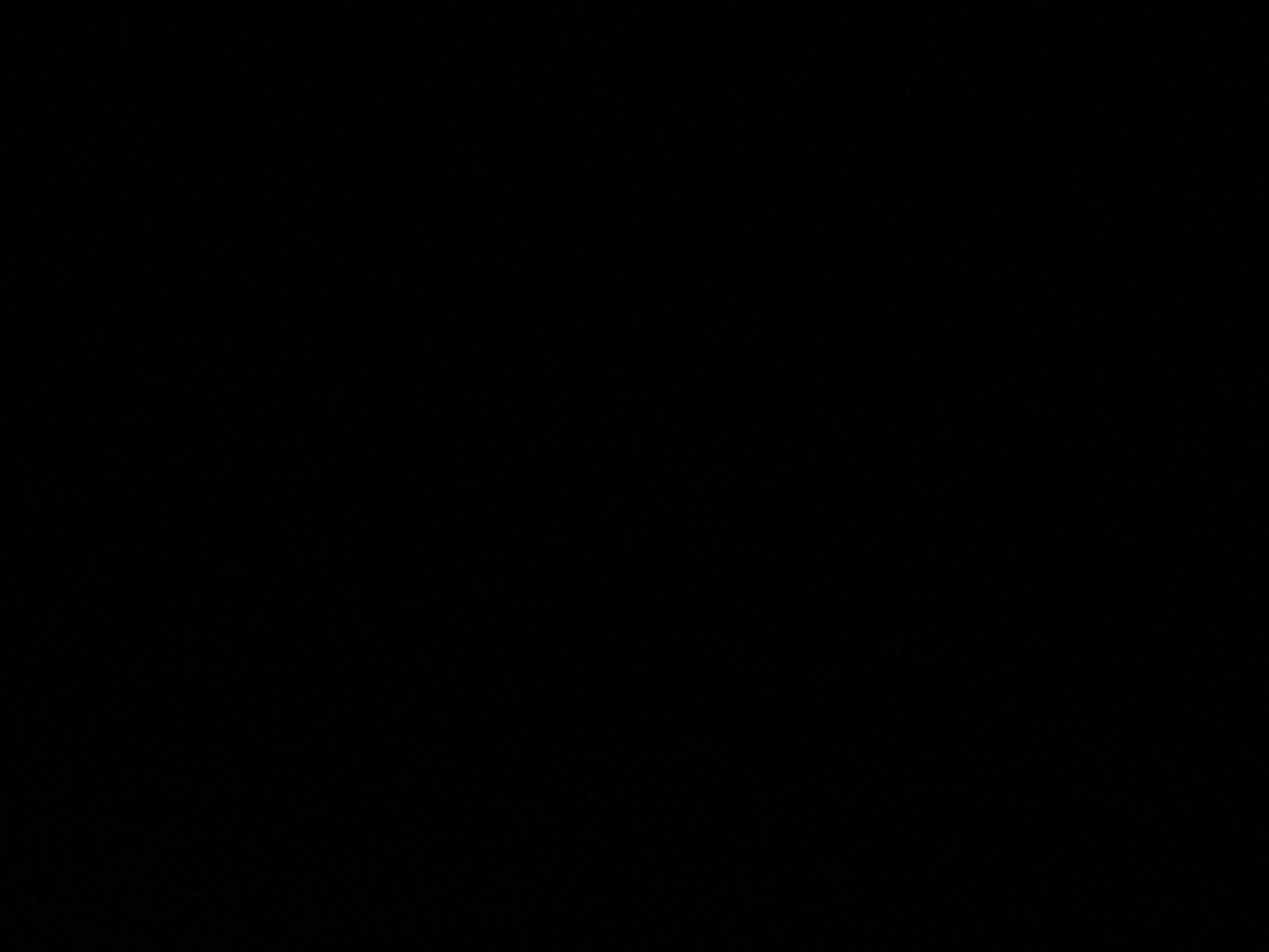 foto_1_1791186643