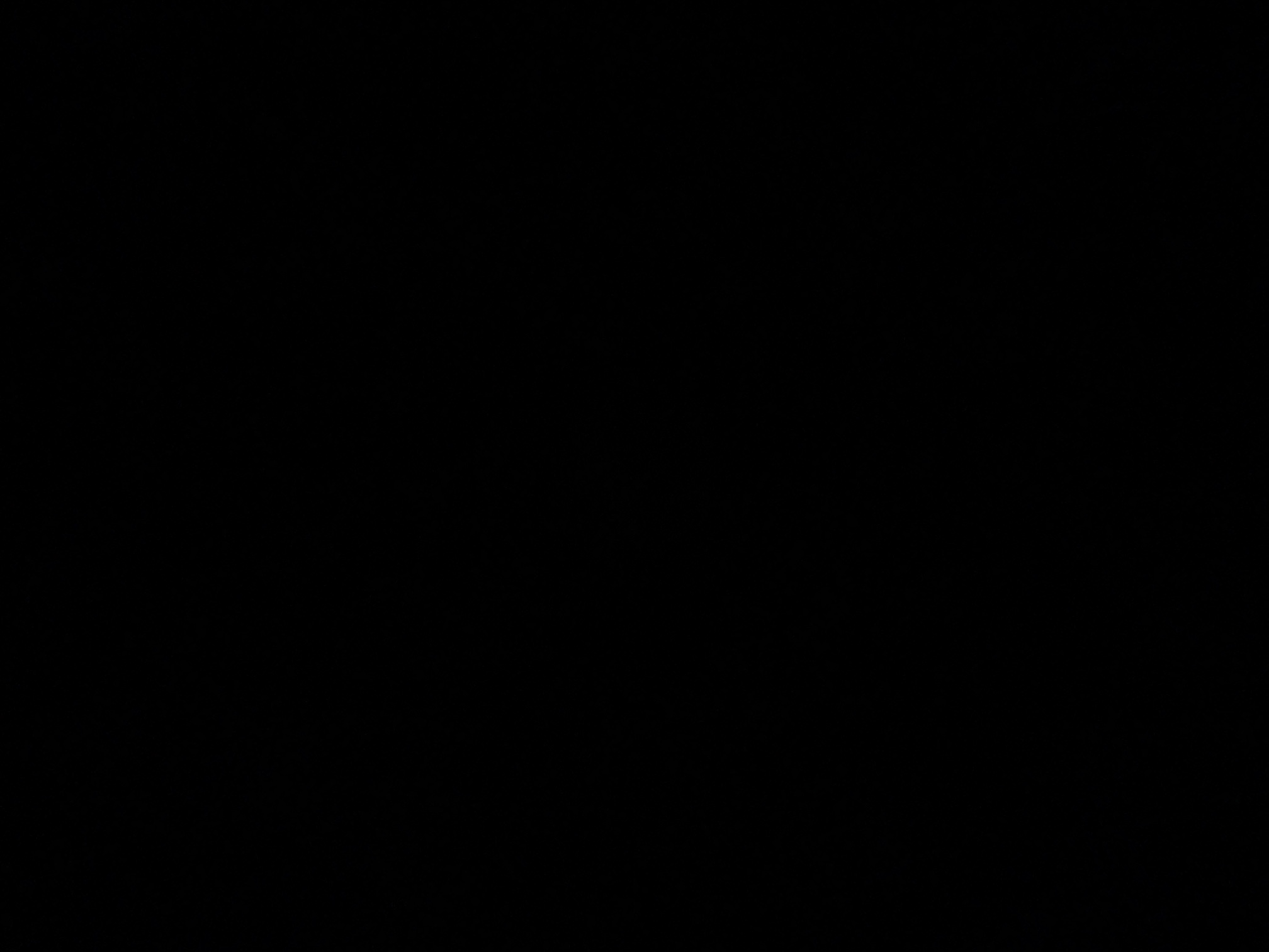 foto_1_1791234622