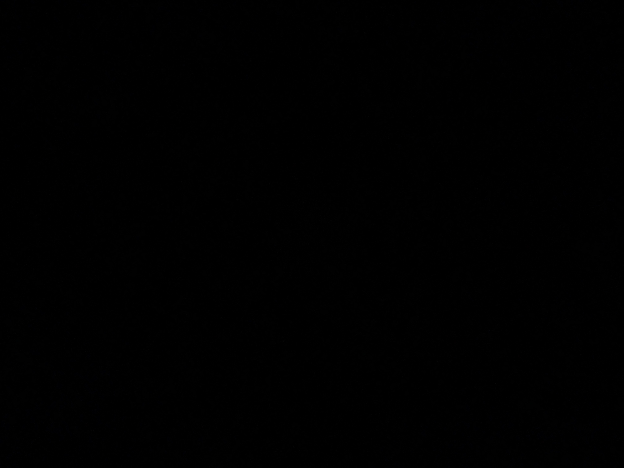 foto_1_1791235410