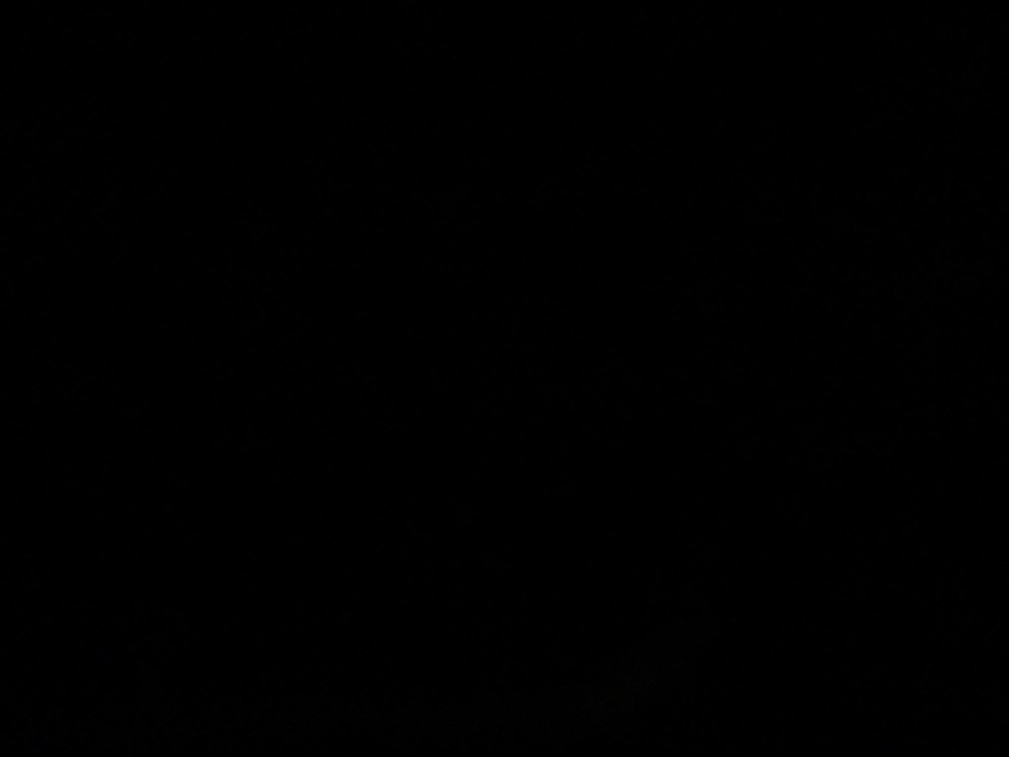foto_1_1791237651