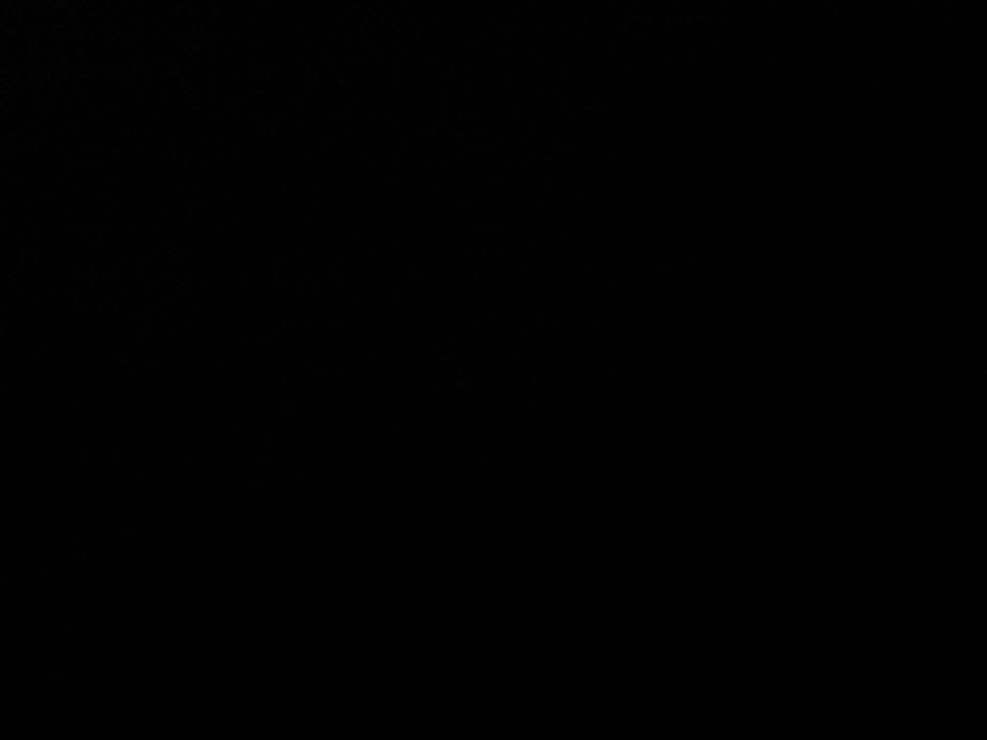 foto_2_1789411237