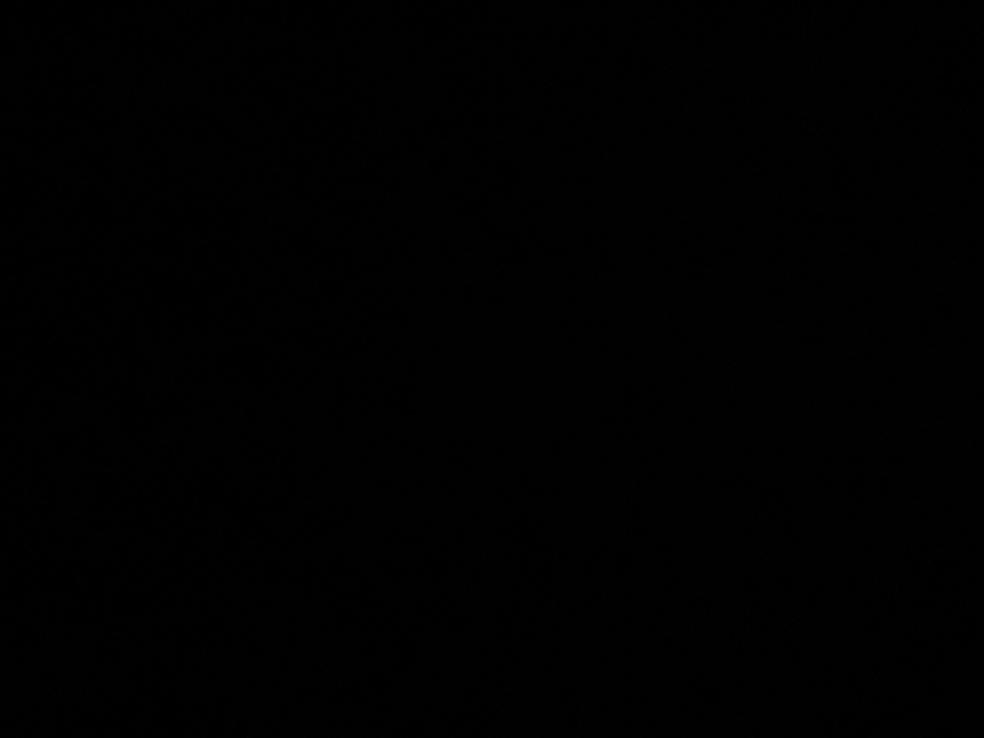 foto_2_1789855312
