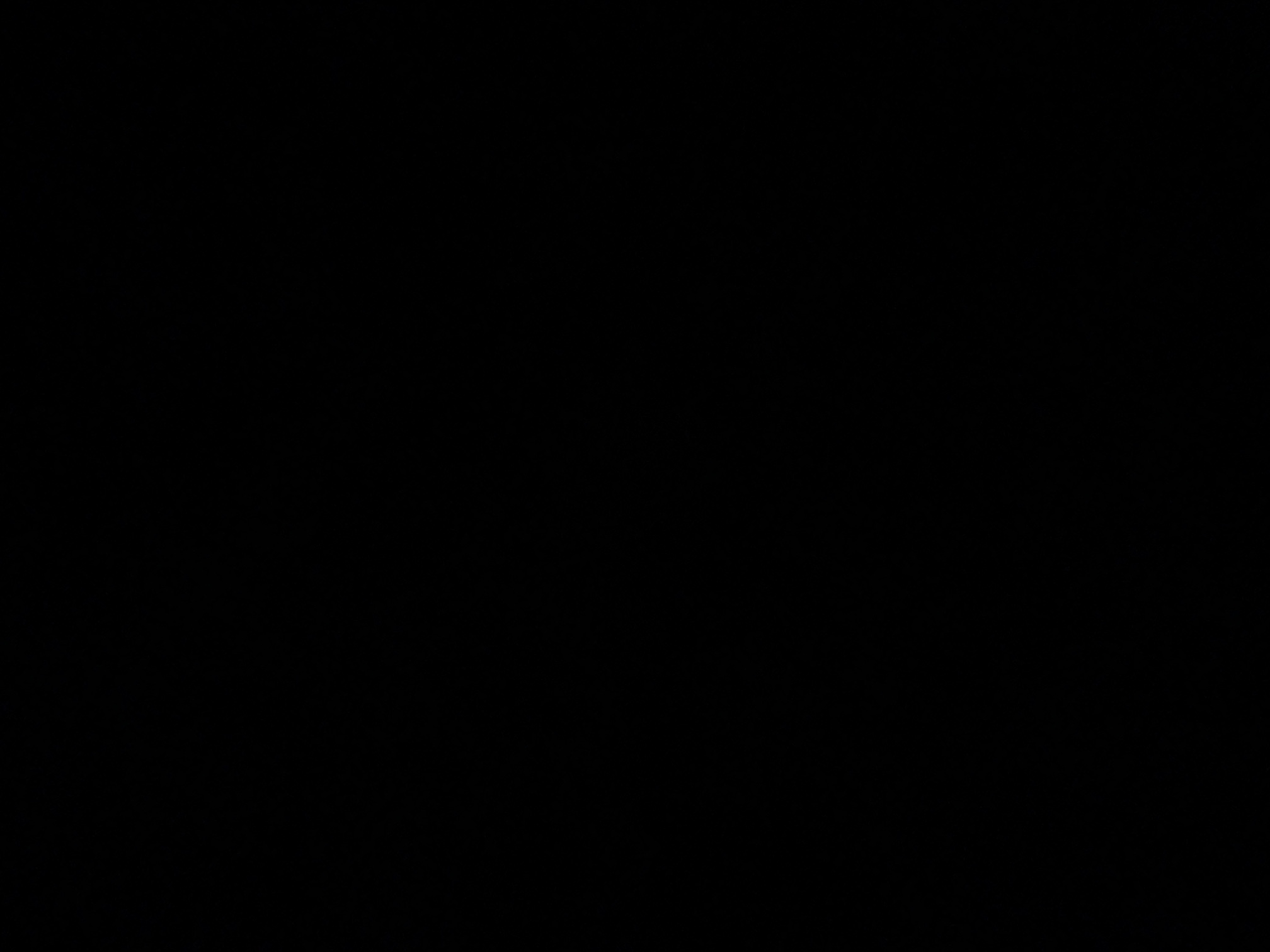foto_2_1789942697