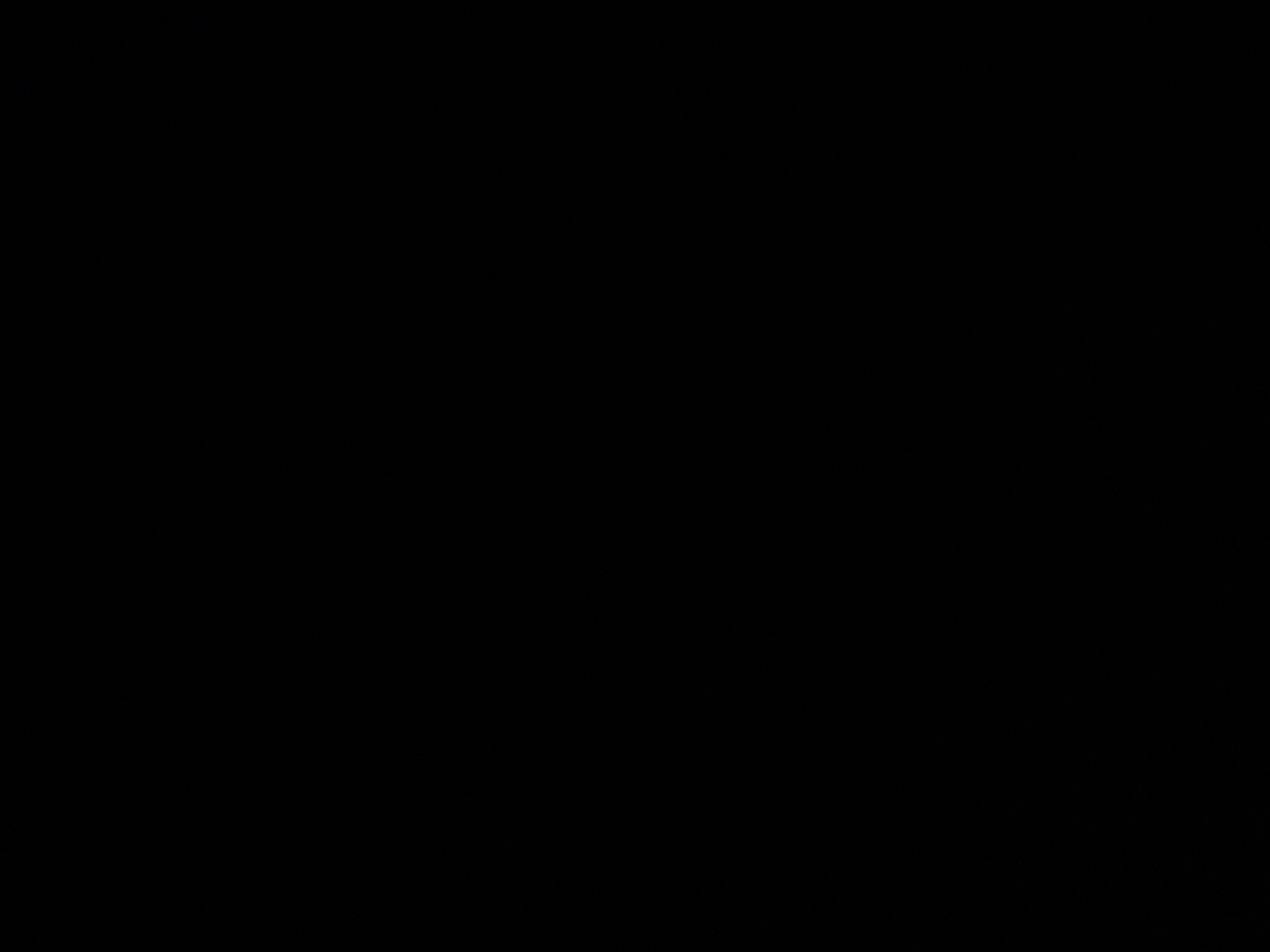 foto_2_1790019631
