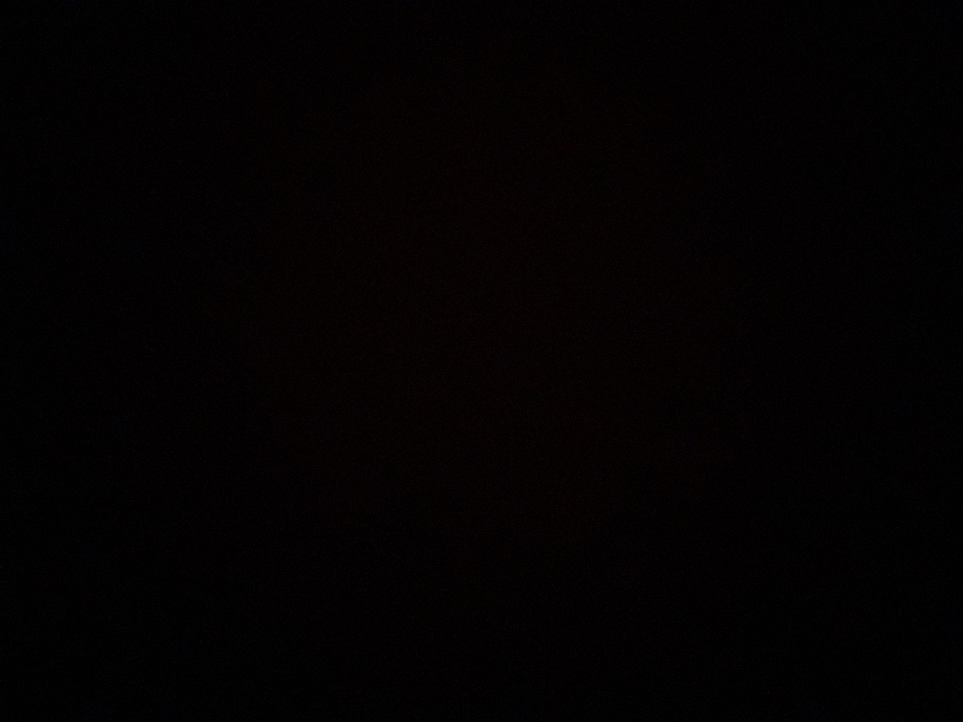 foto_2_1790027997