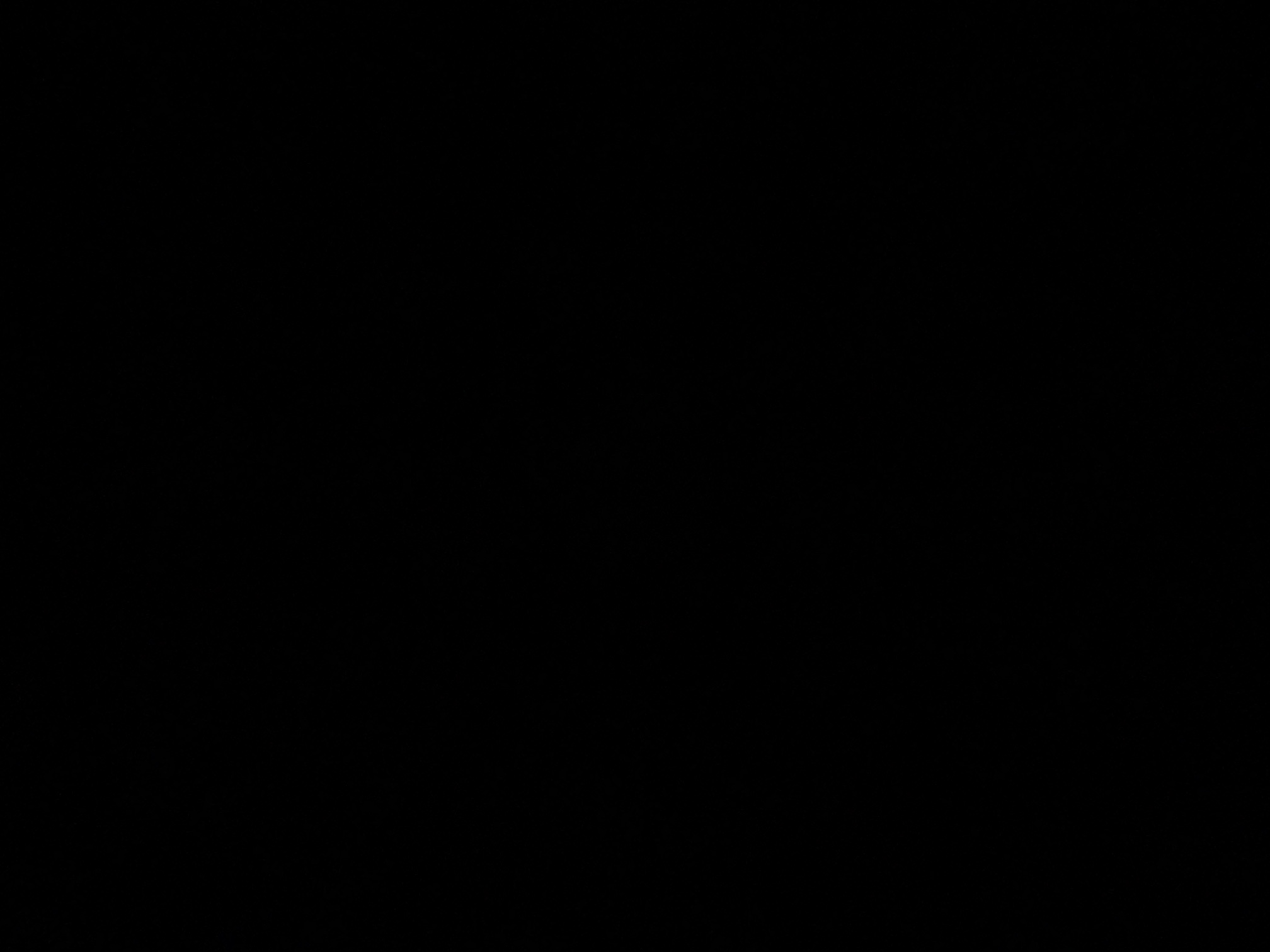 foto_2_1790045571
