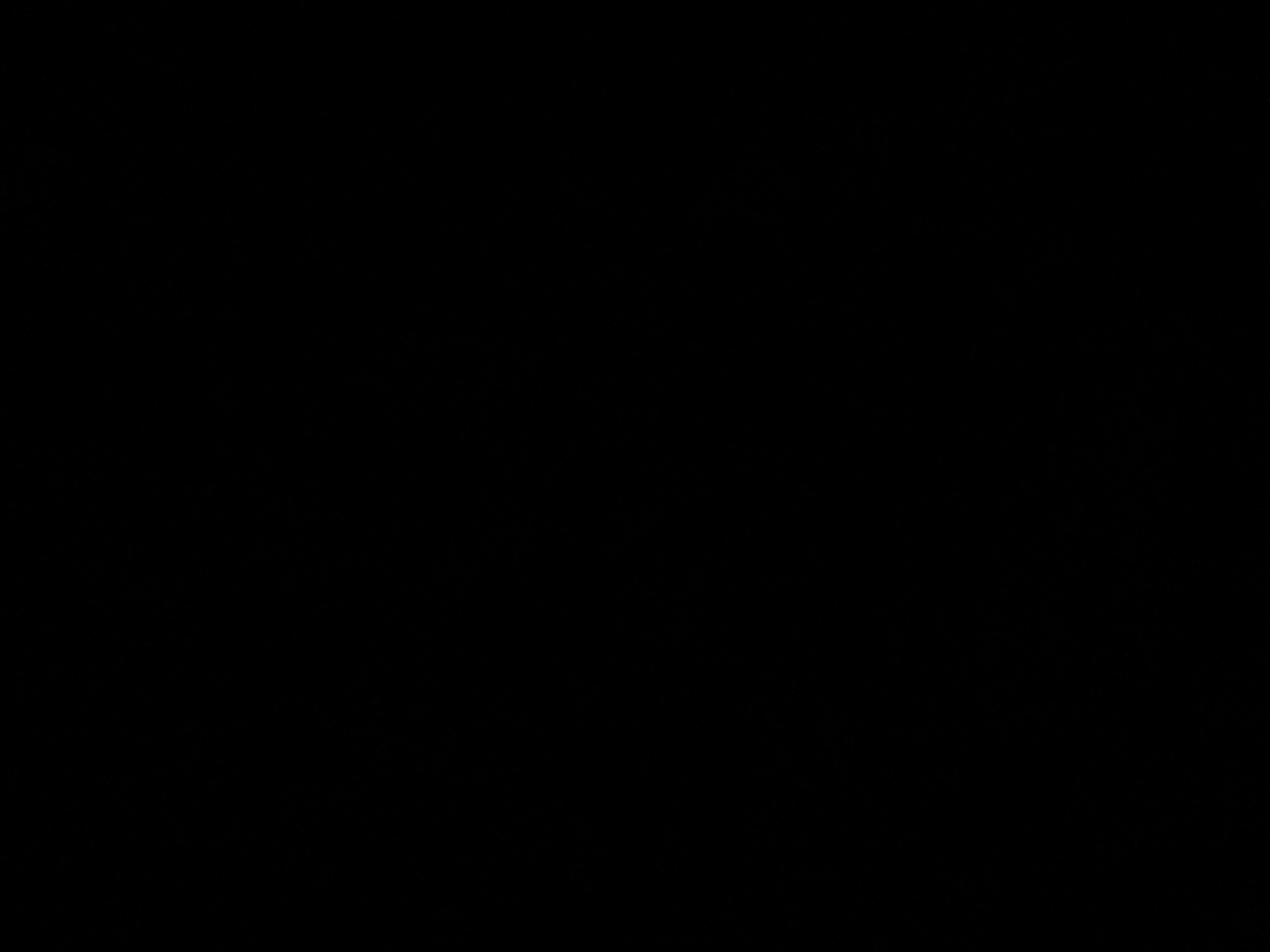foto_2_1790319866