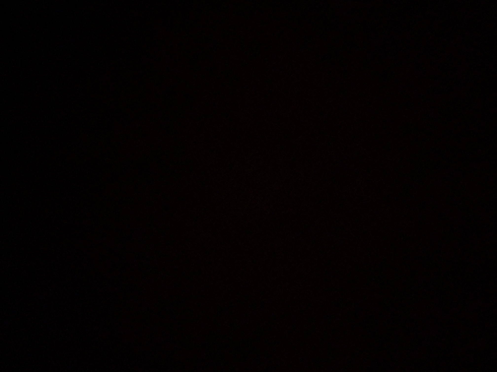 foto_2_1790362364