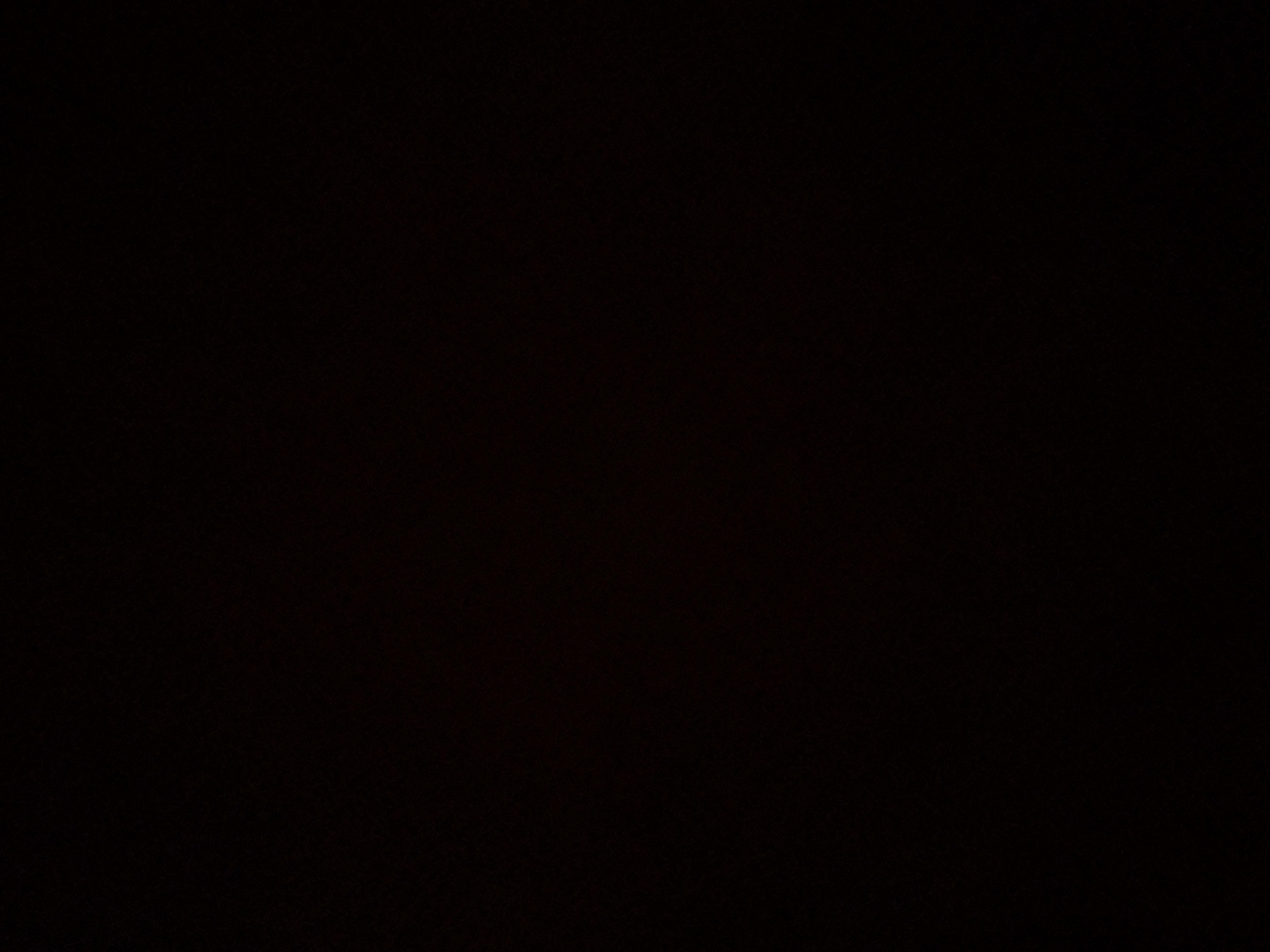 foto_2_1790363565