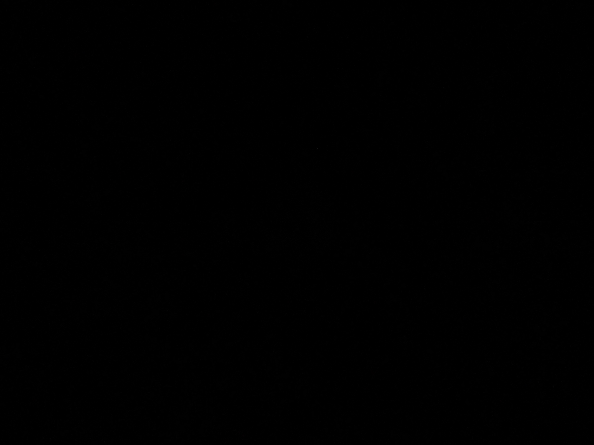 foto_2_1790371690