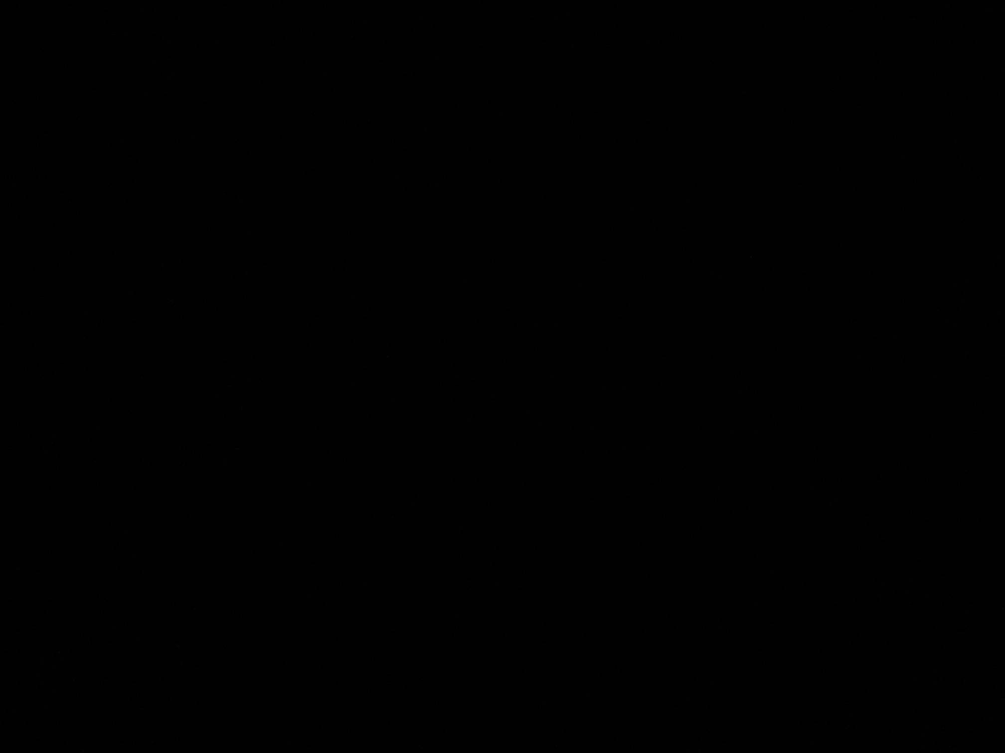 foto_2_1790372711