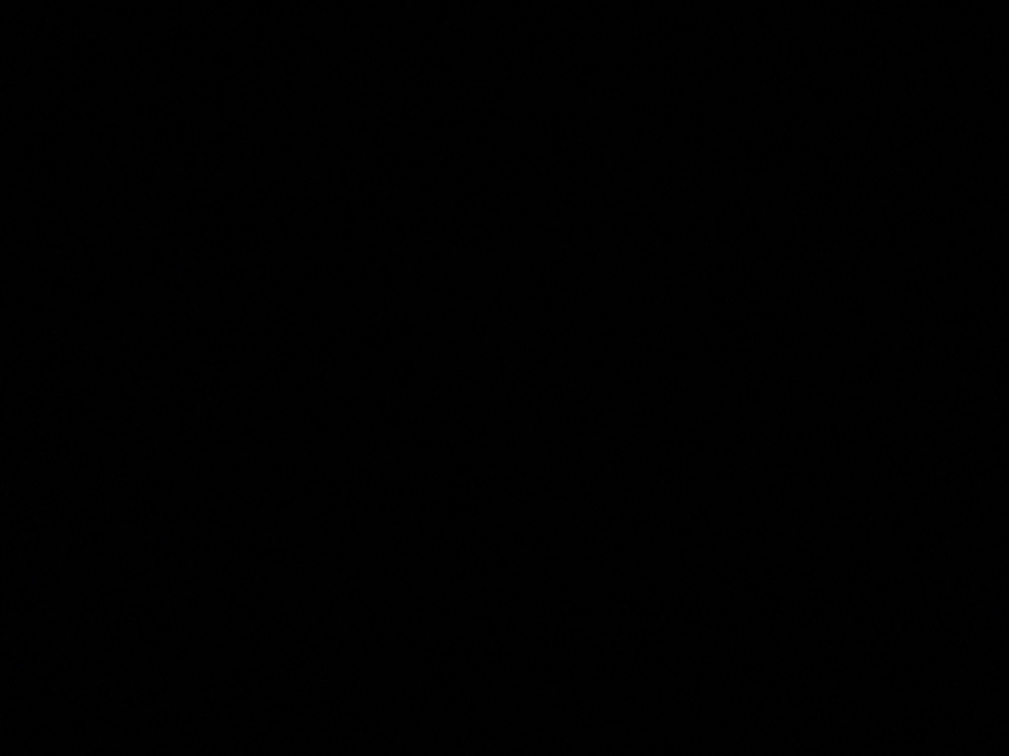 foto_2_1790376716