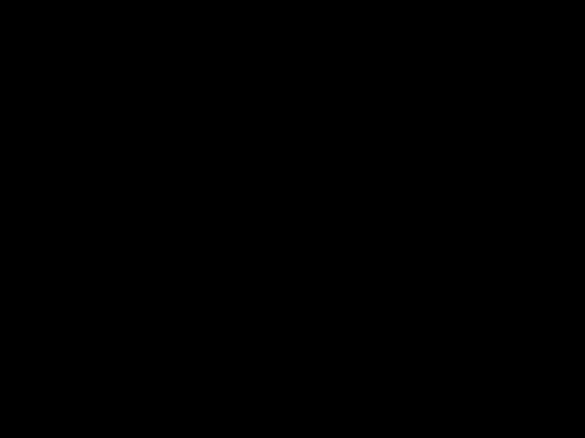 foto_2_1790377907