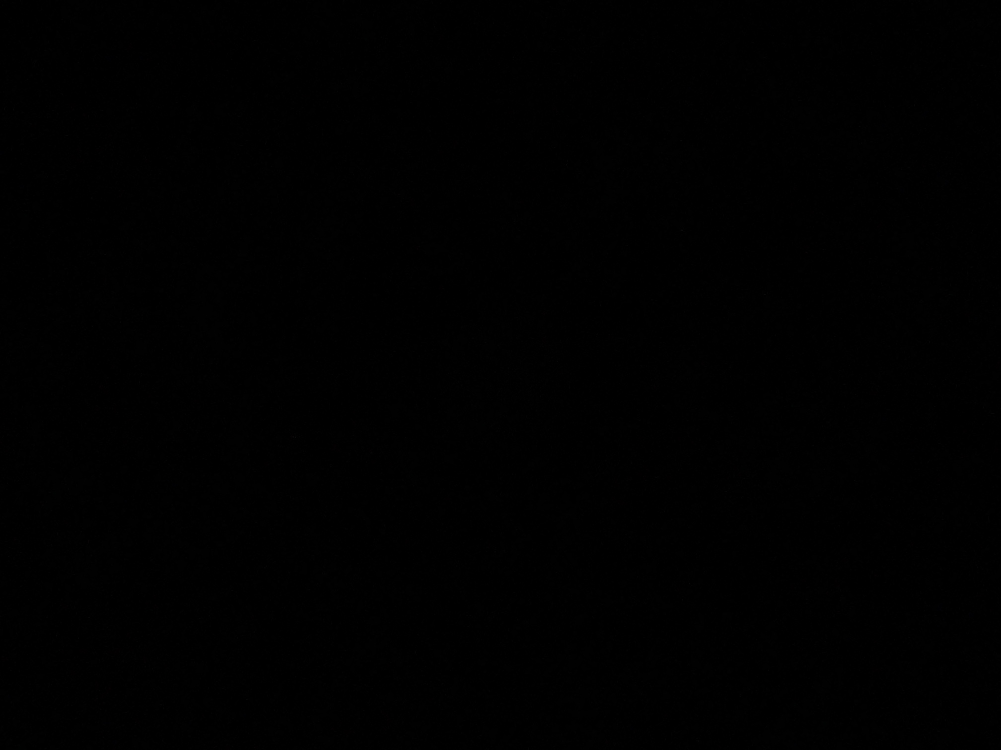 foto_2_1790381542