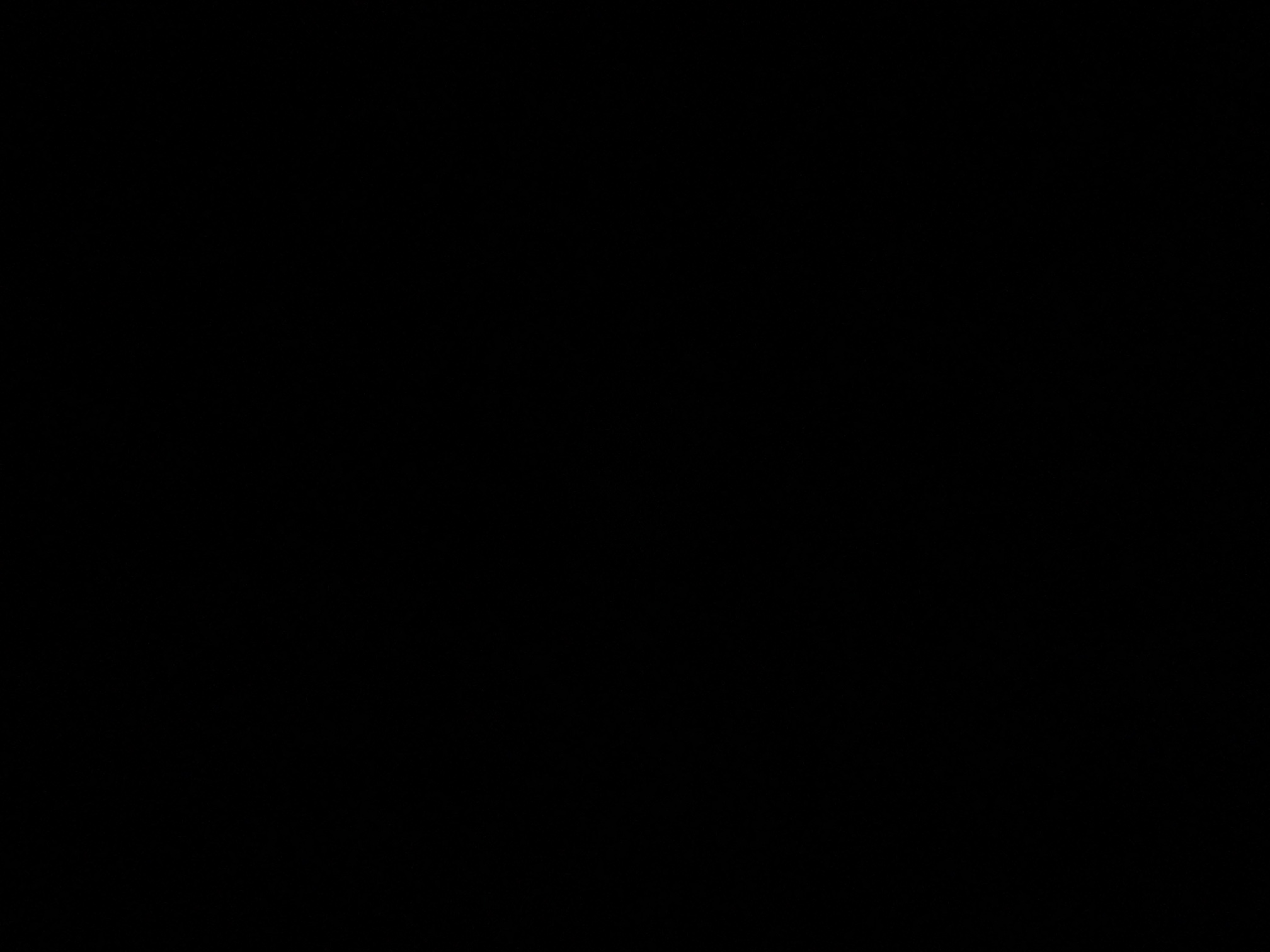 foto_2_1790381842
