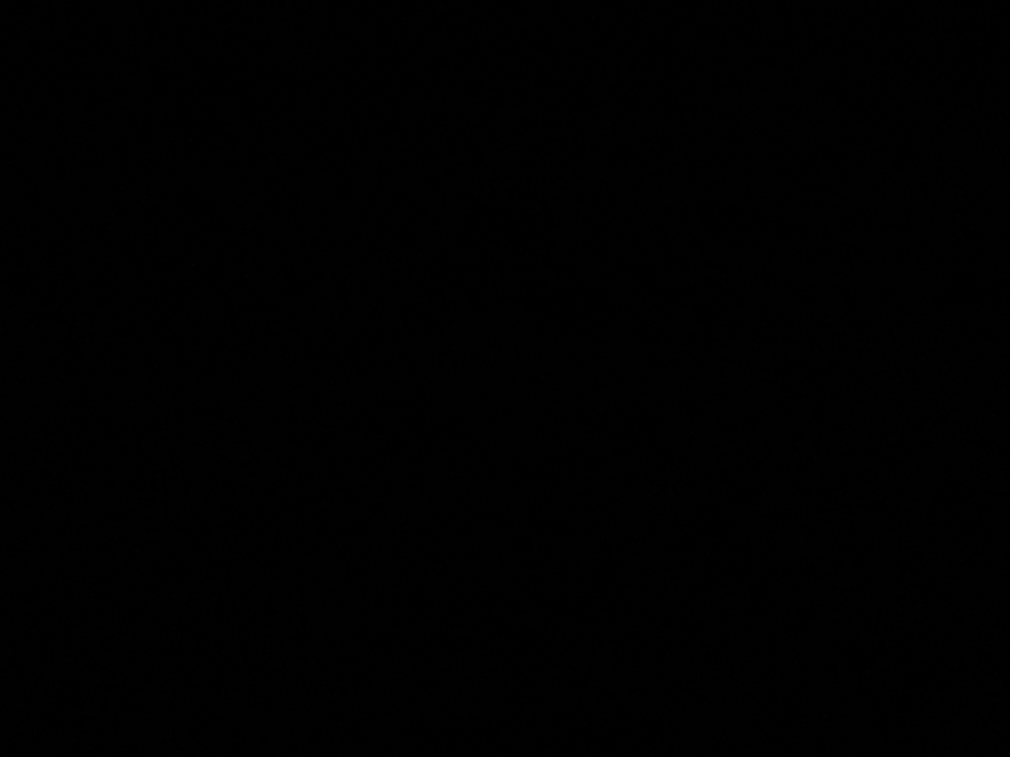 foto_2_1790382909