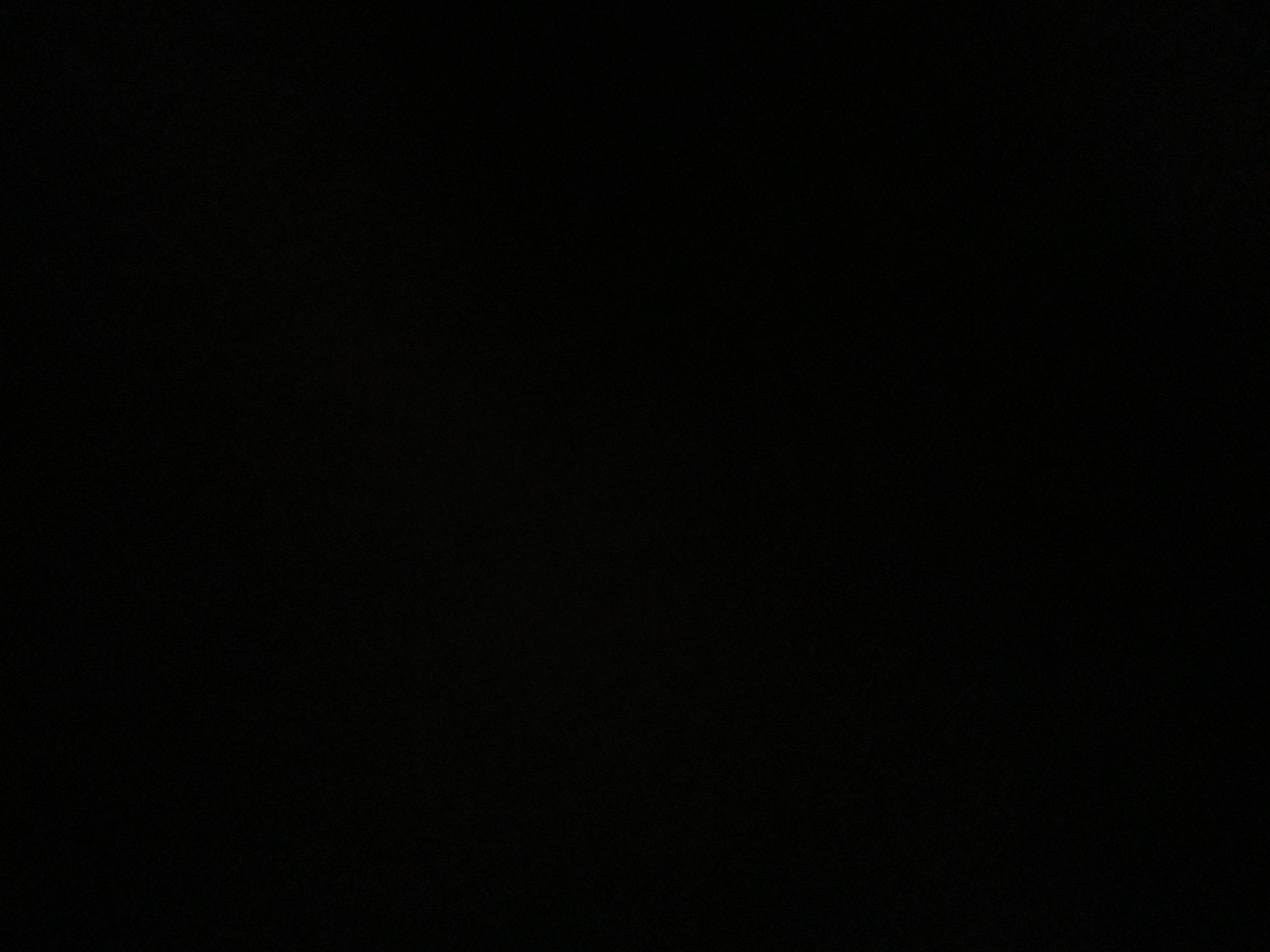 foto_2_1791079538
